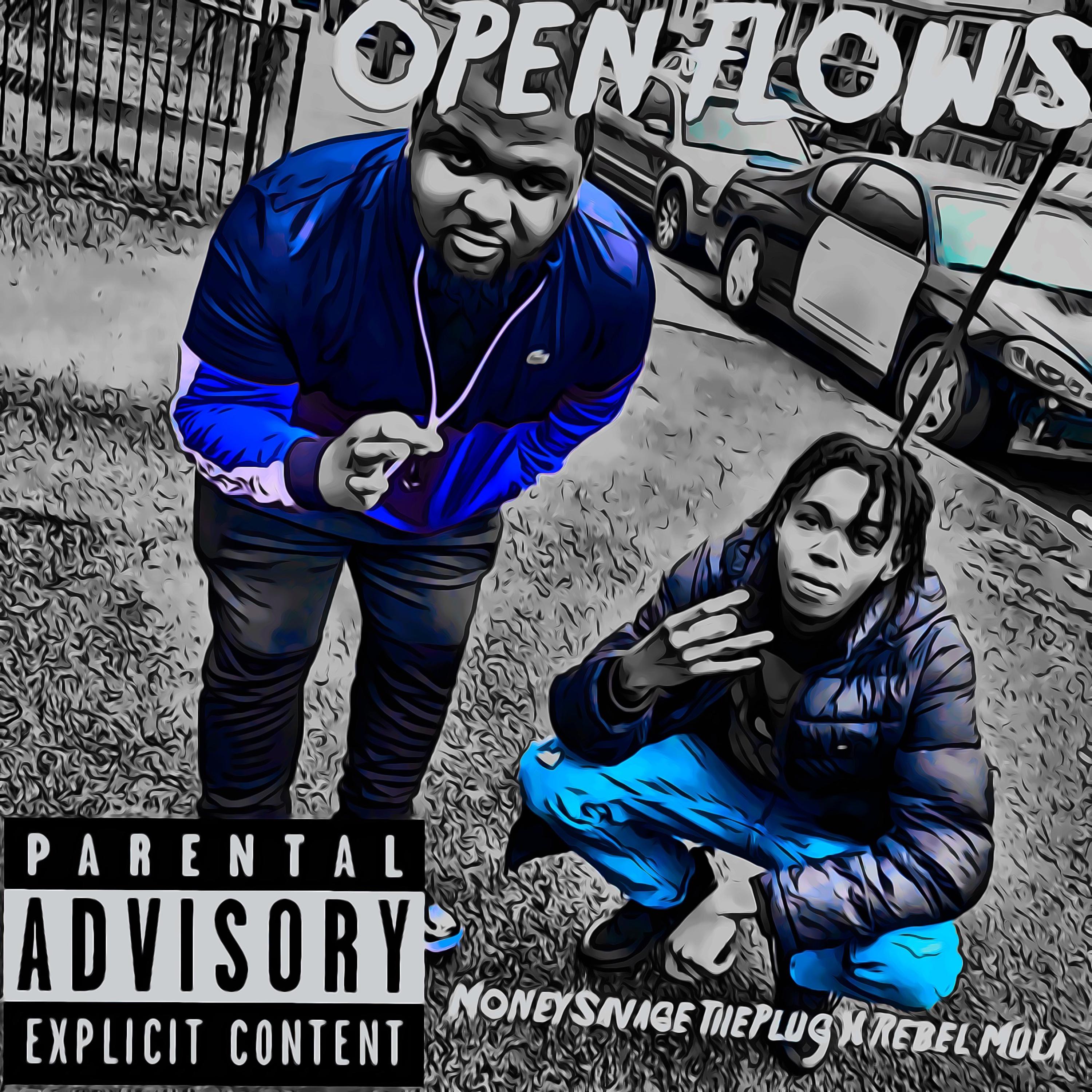 Open Flows by MoneySavage ThePlug cover art