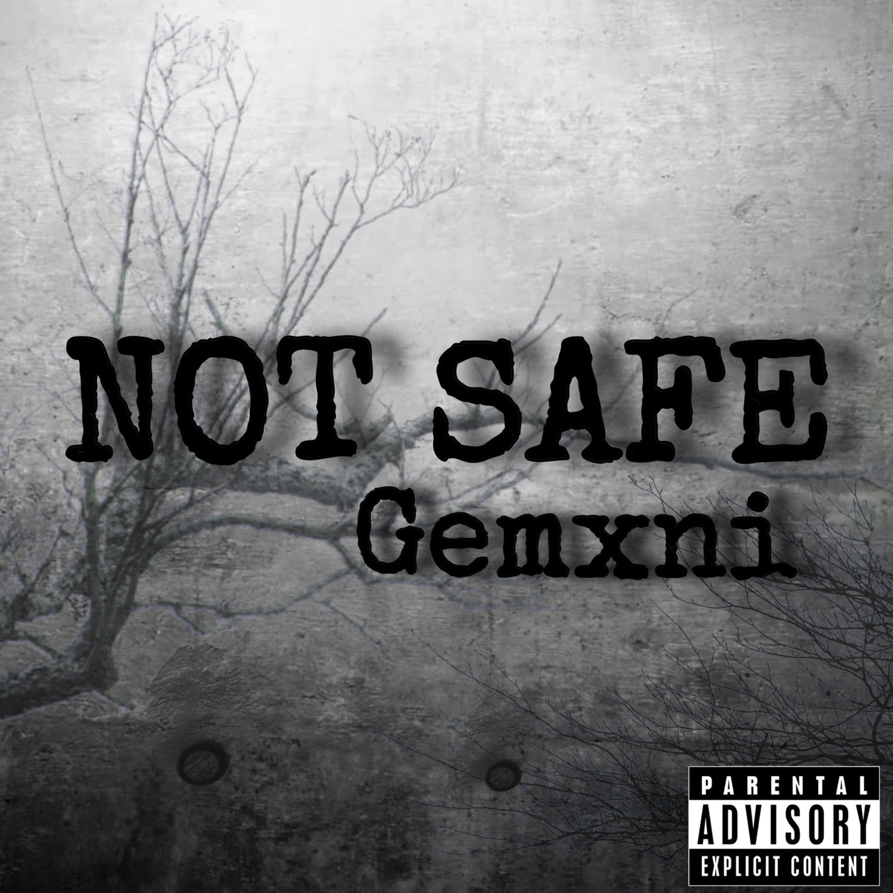 Not Safe artwork