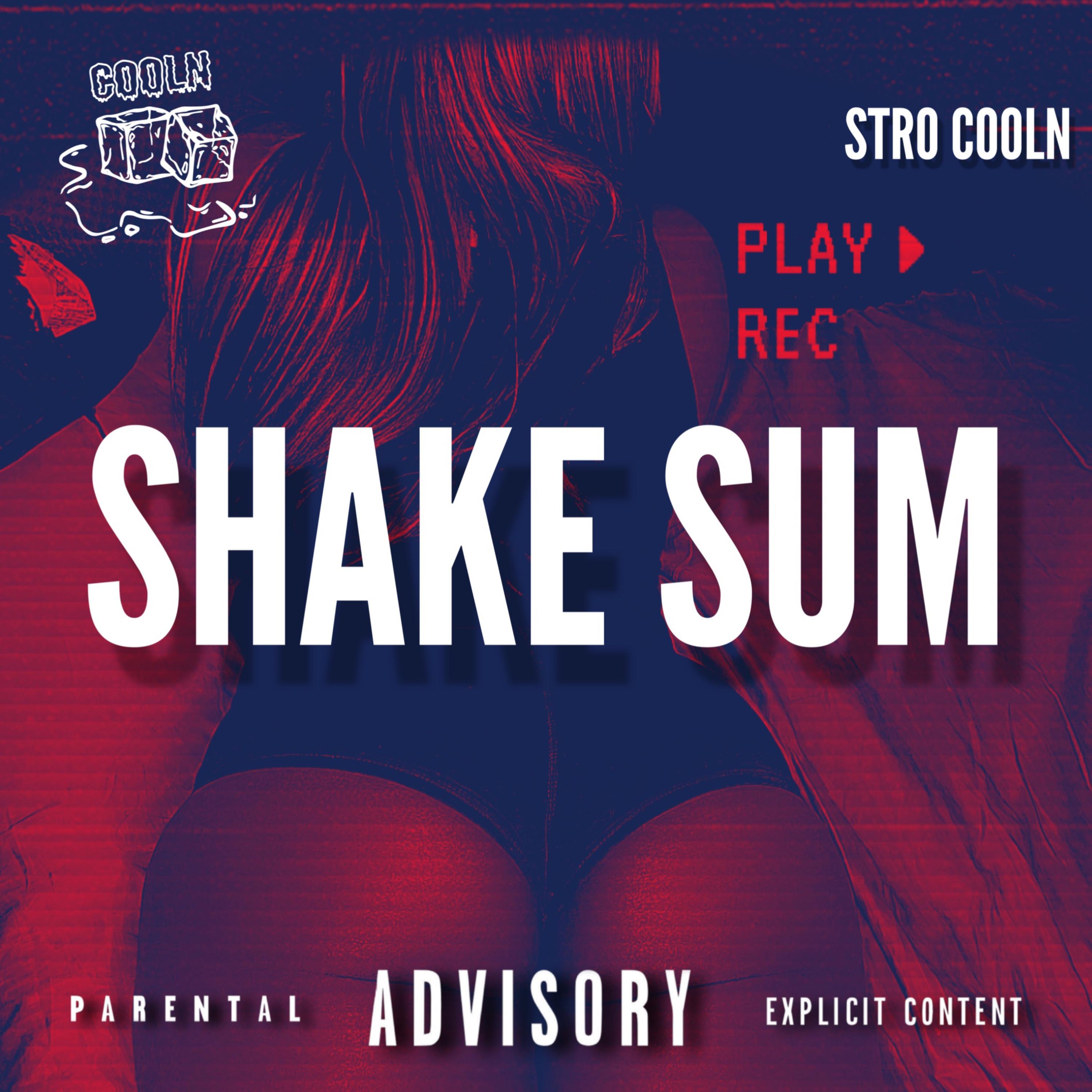 Shake Sum' artwork