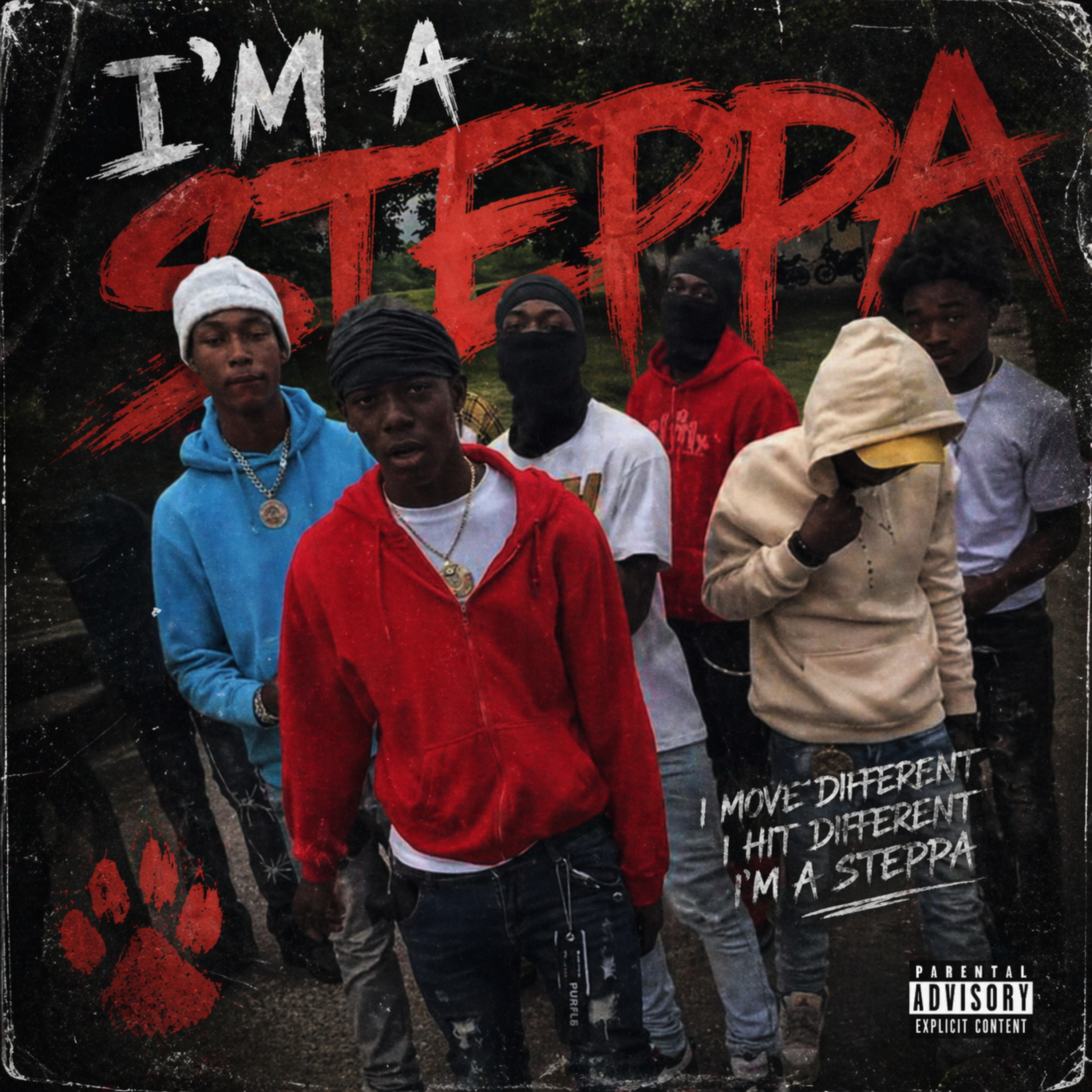 I’m A Steppa artwork