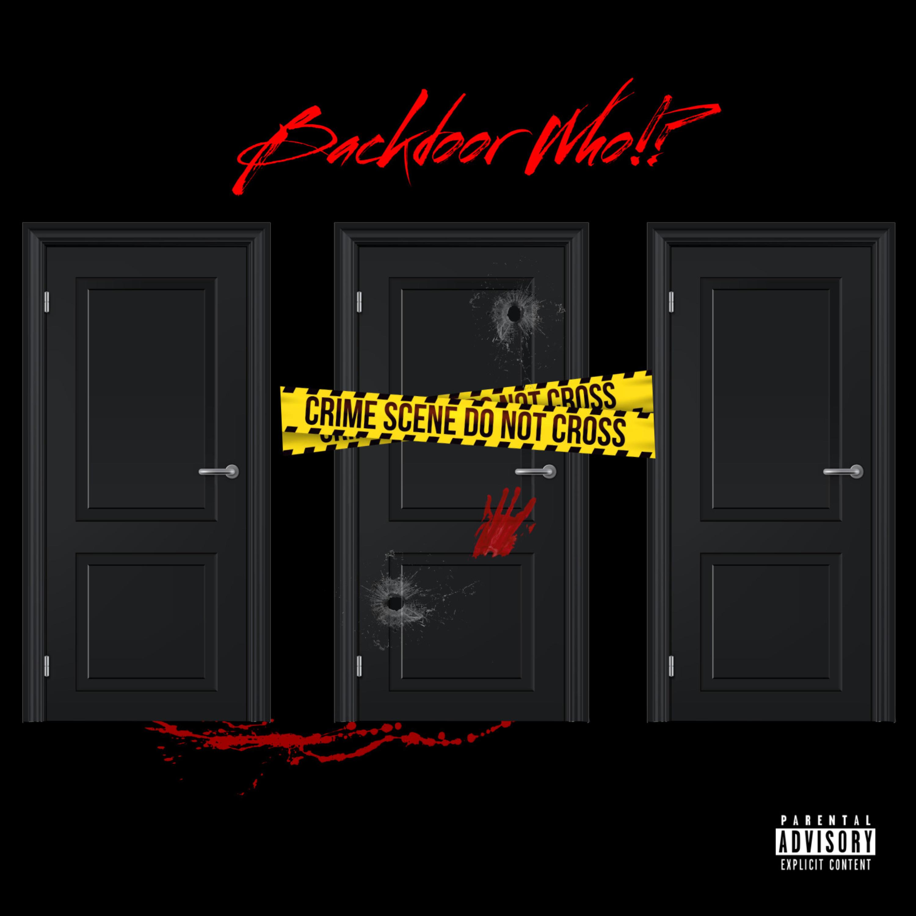 Backdoor Who!? artwork