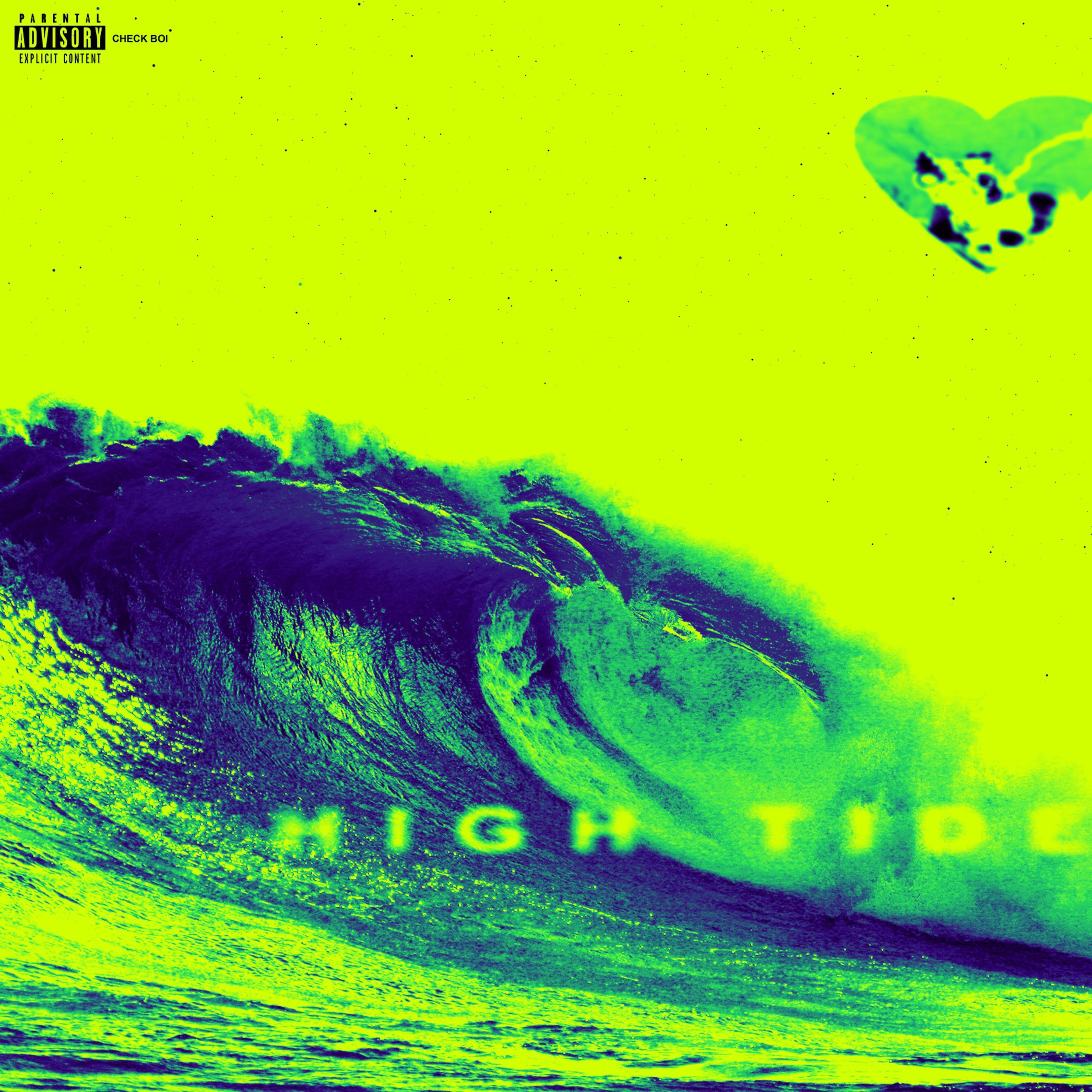 Miss High Tide artwork
