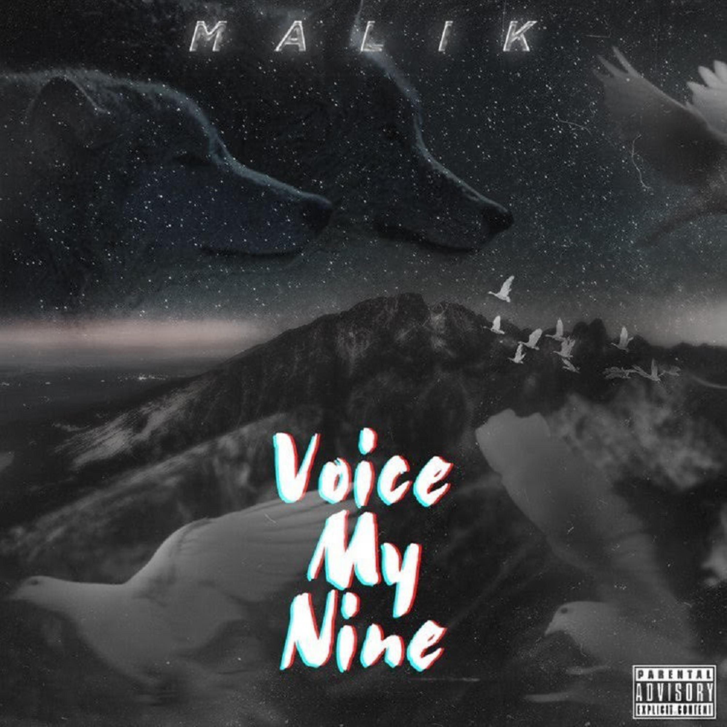 Voice My Nine artwork