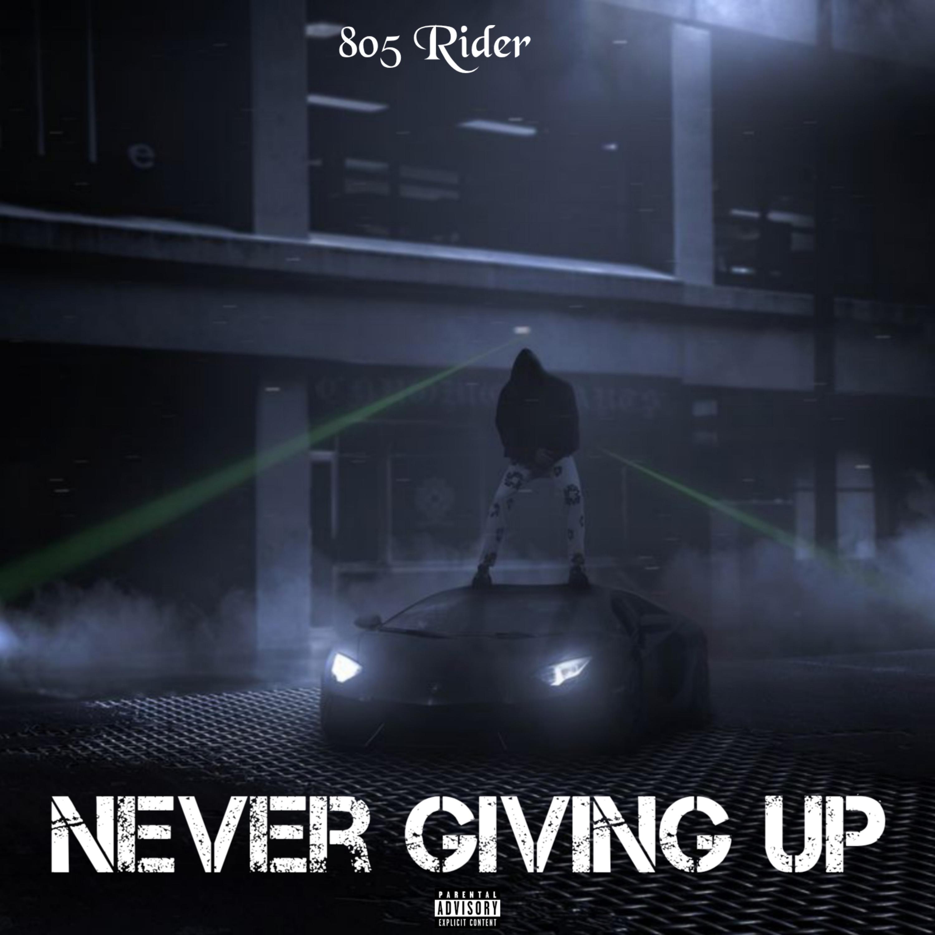 Never Giving up artwork