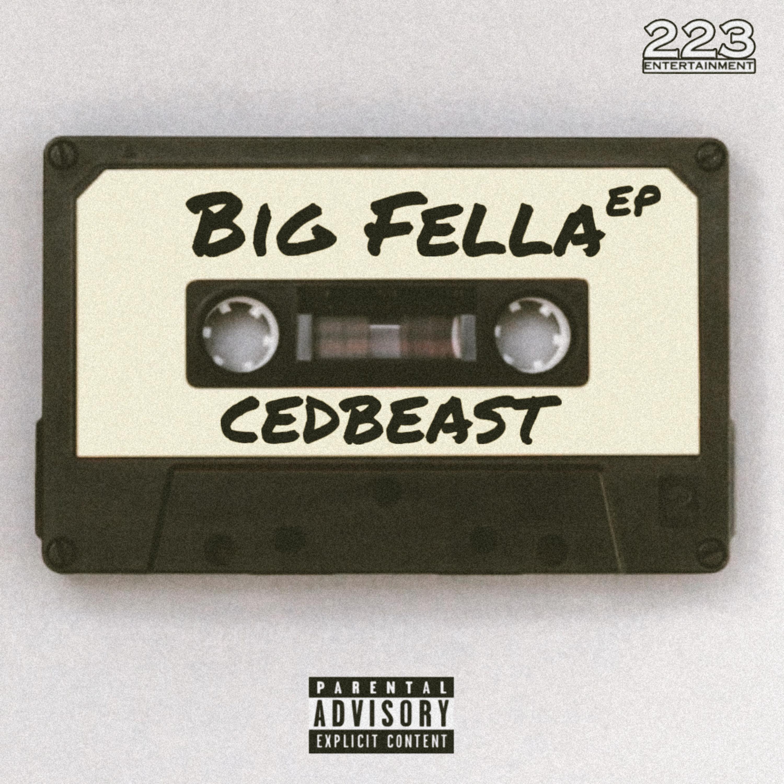 Big Fella artwork