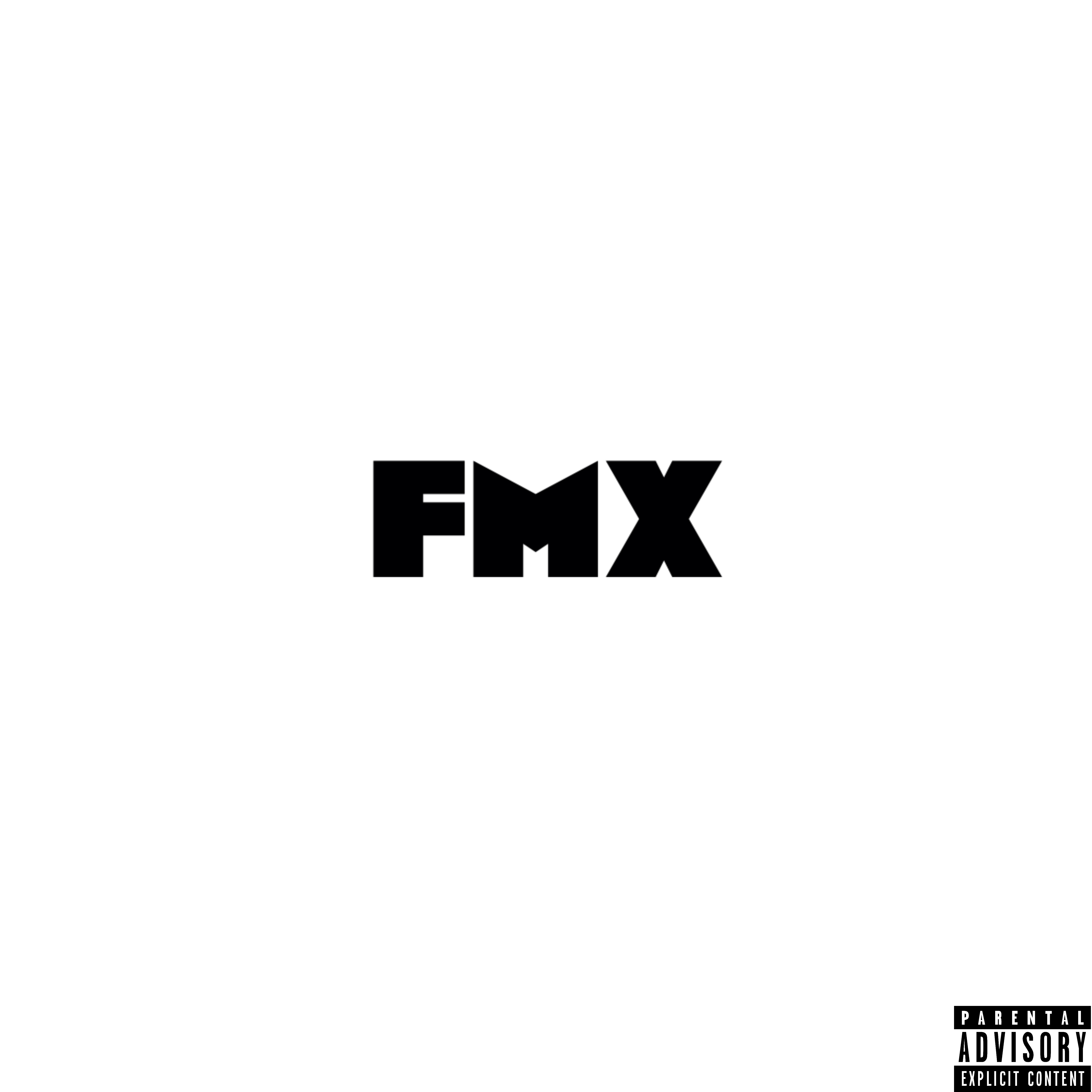 FMX artwork