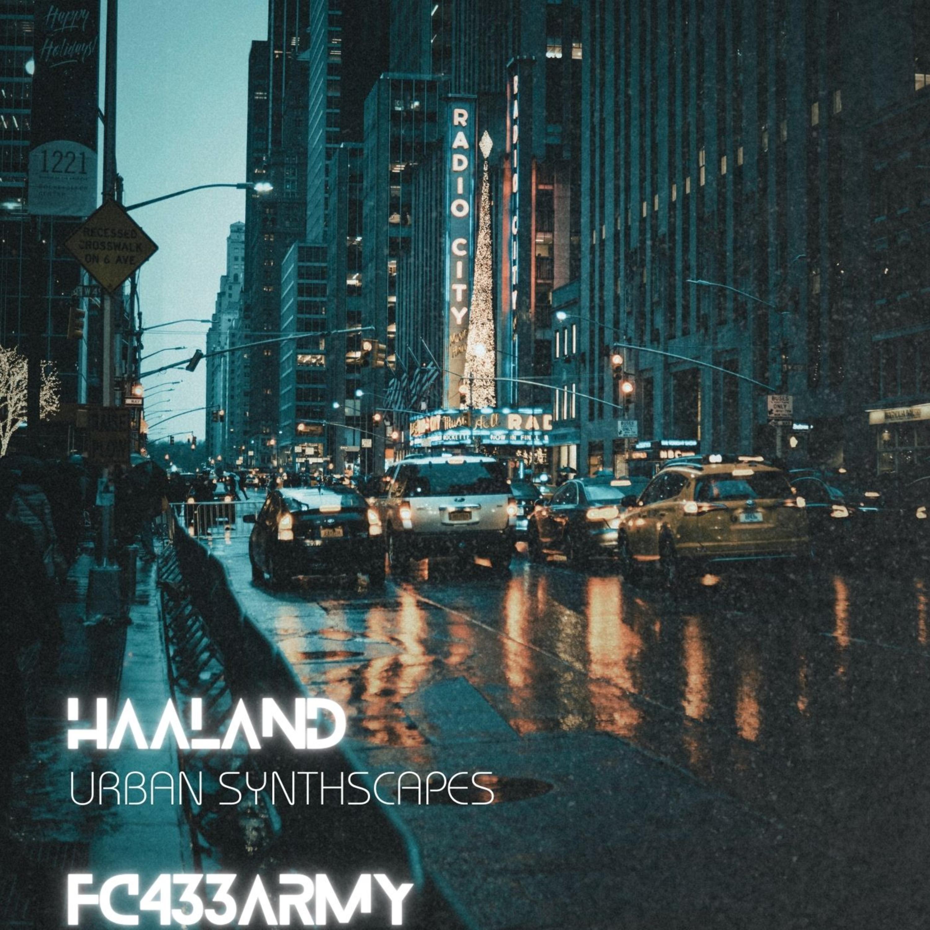 Haaland artwork