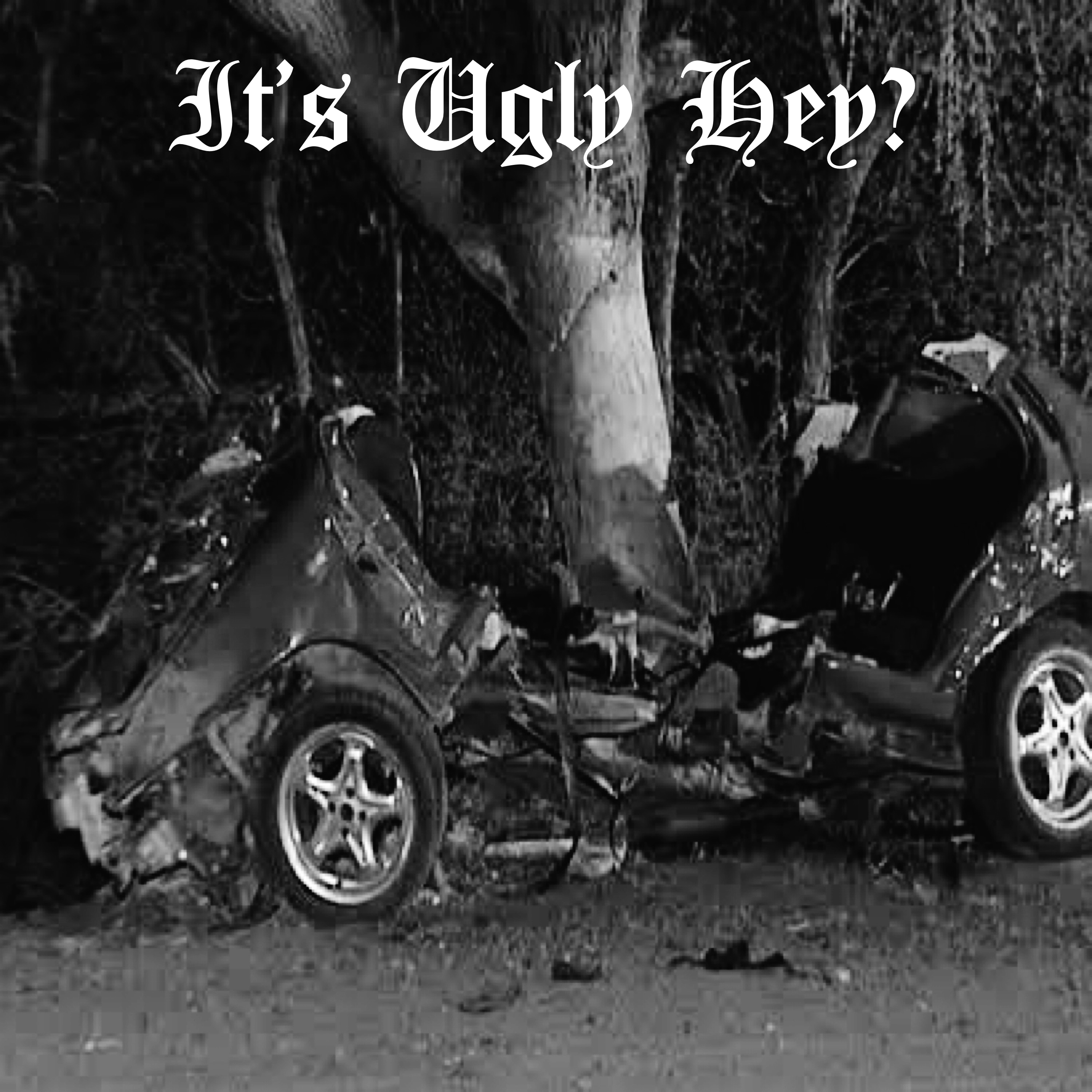 It's Ugly Hey? artwork