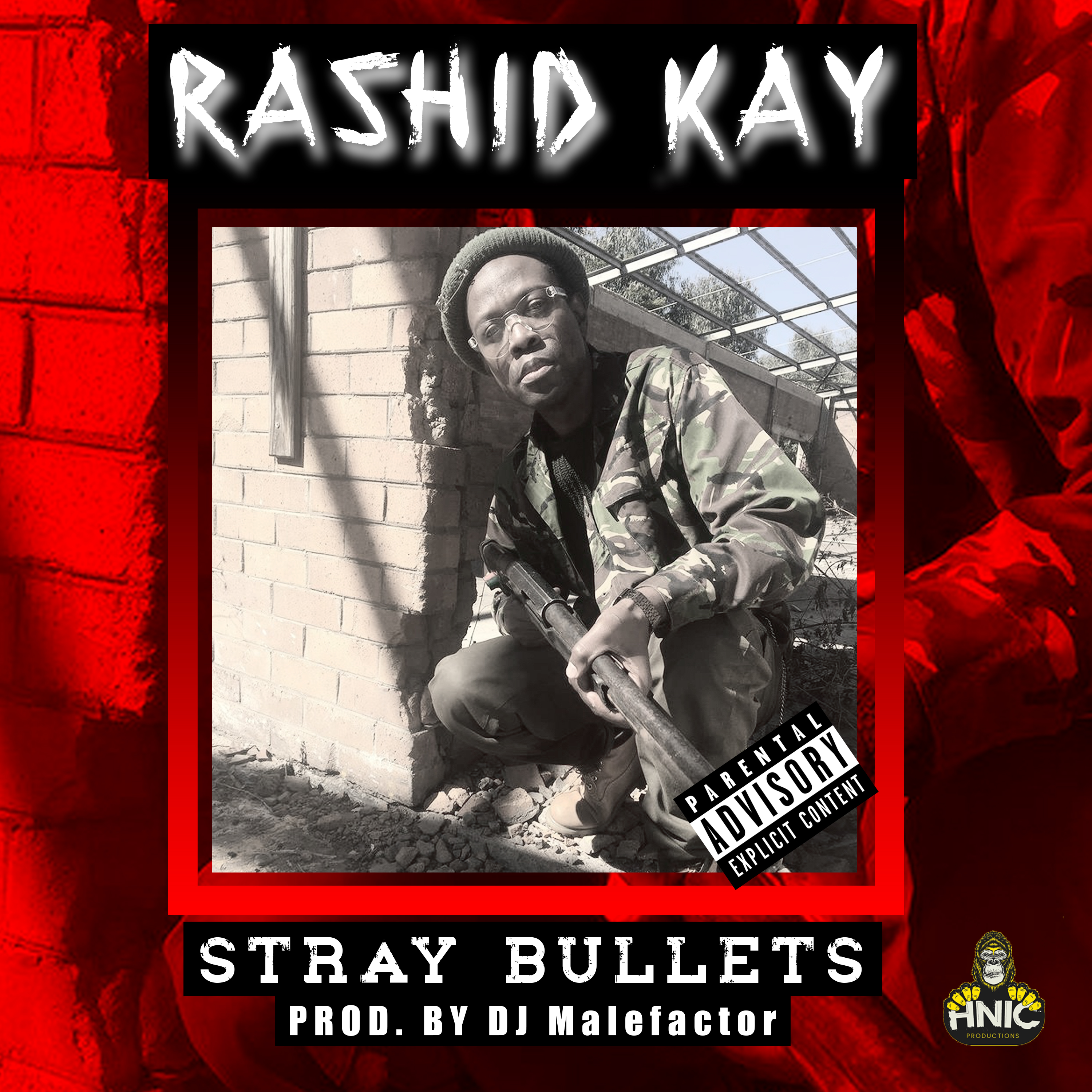 Stray Bullets artwork