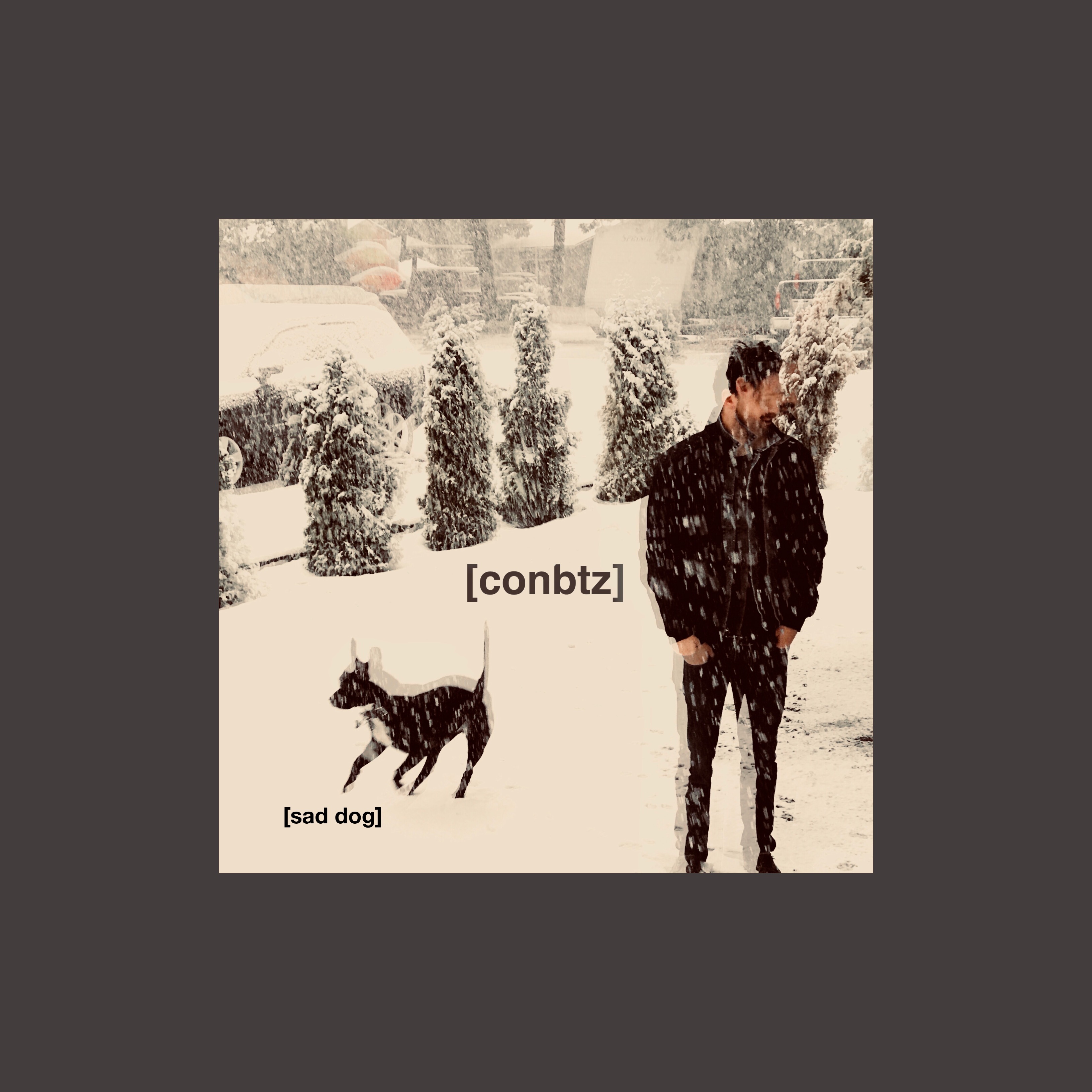 sad dog artwork