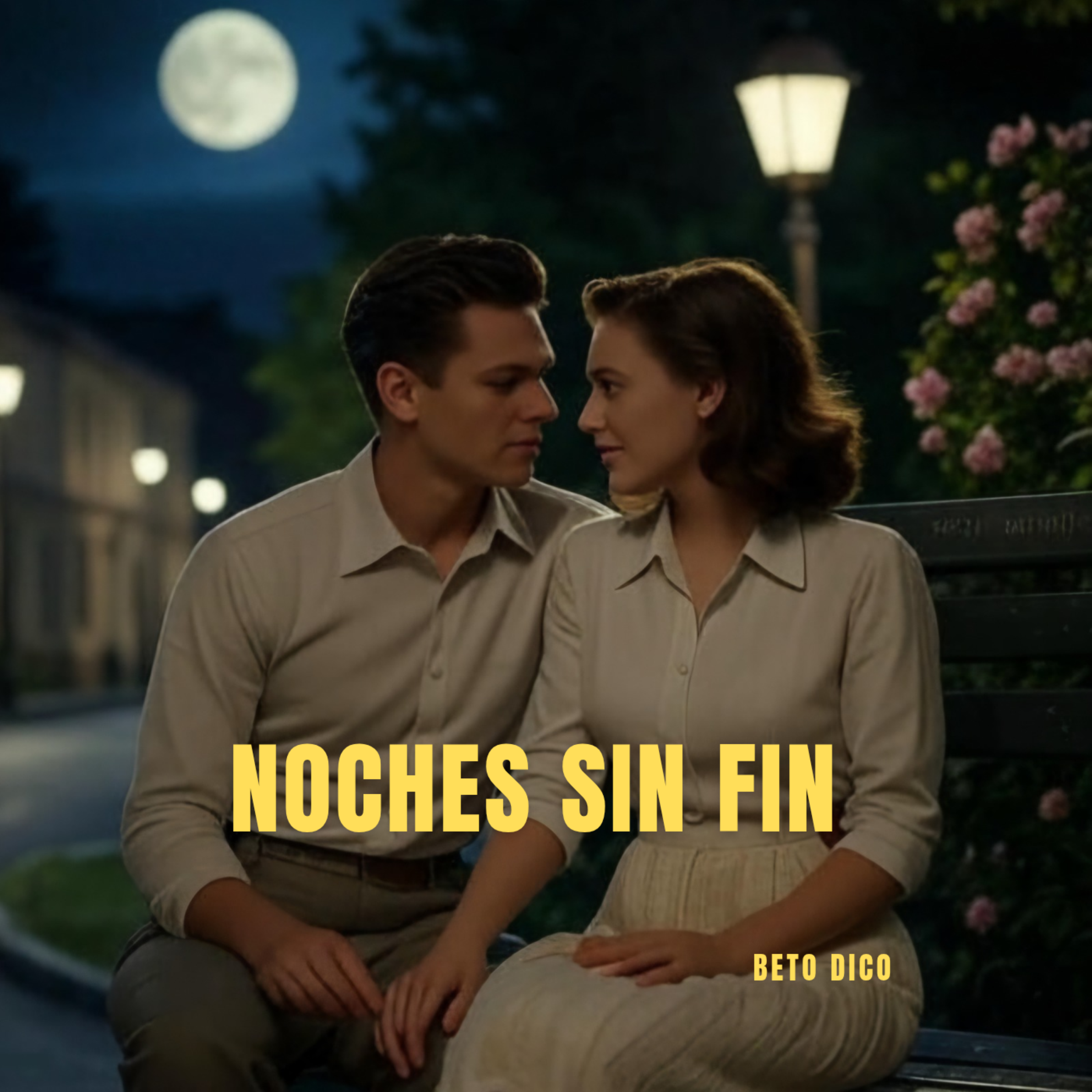 NOCHES SIN FIN artwork