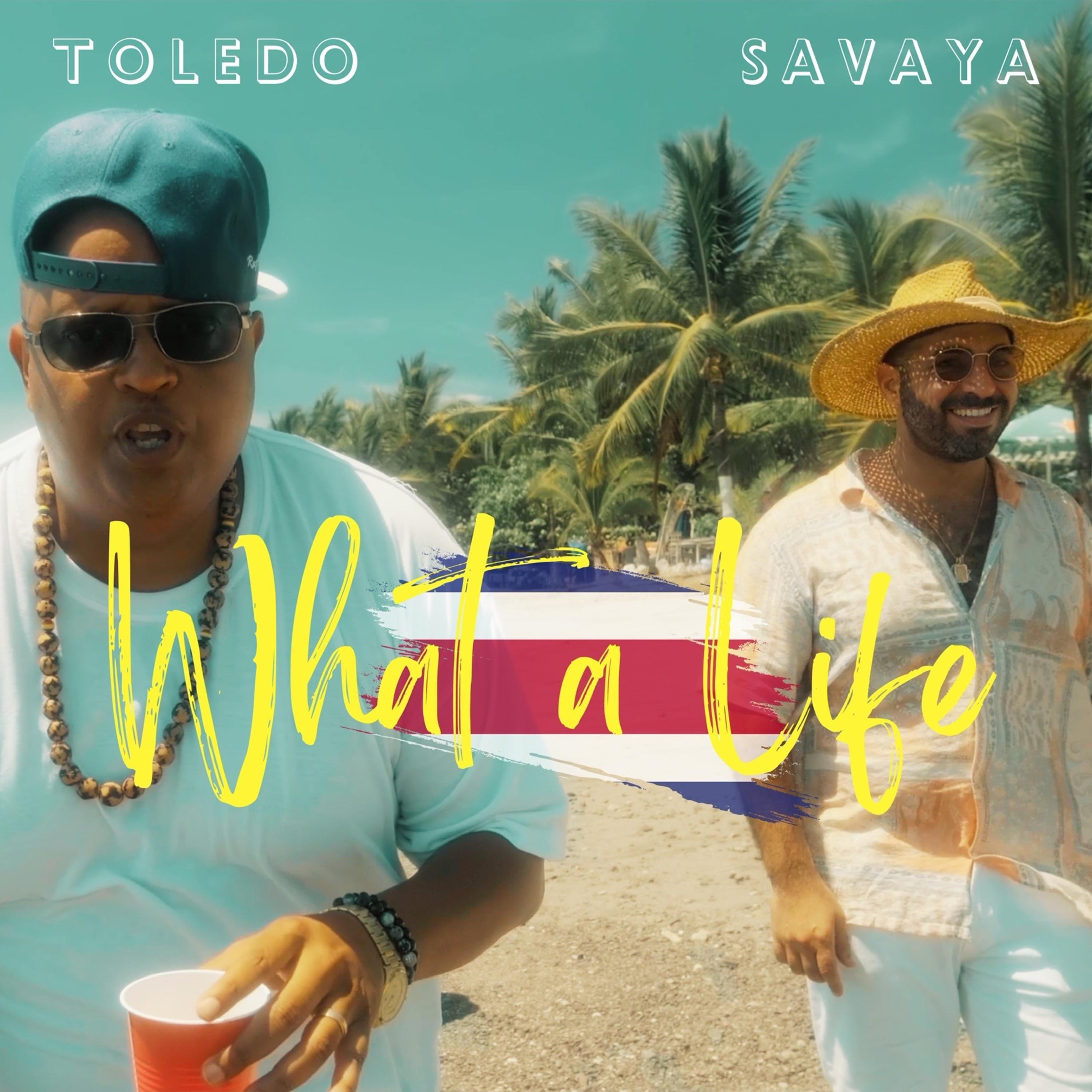 What A Life artwork