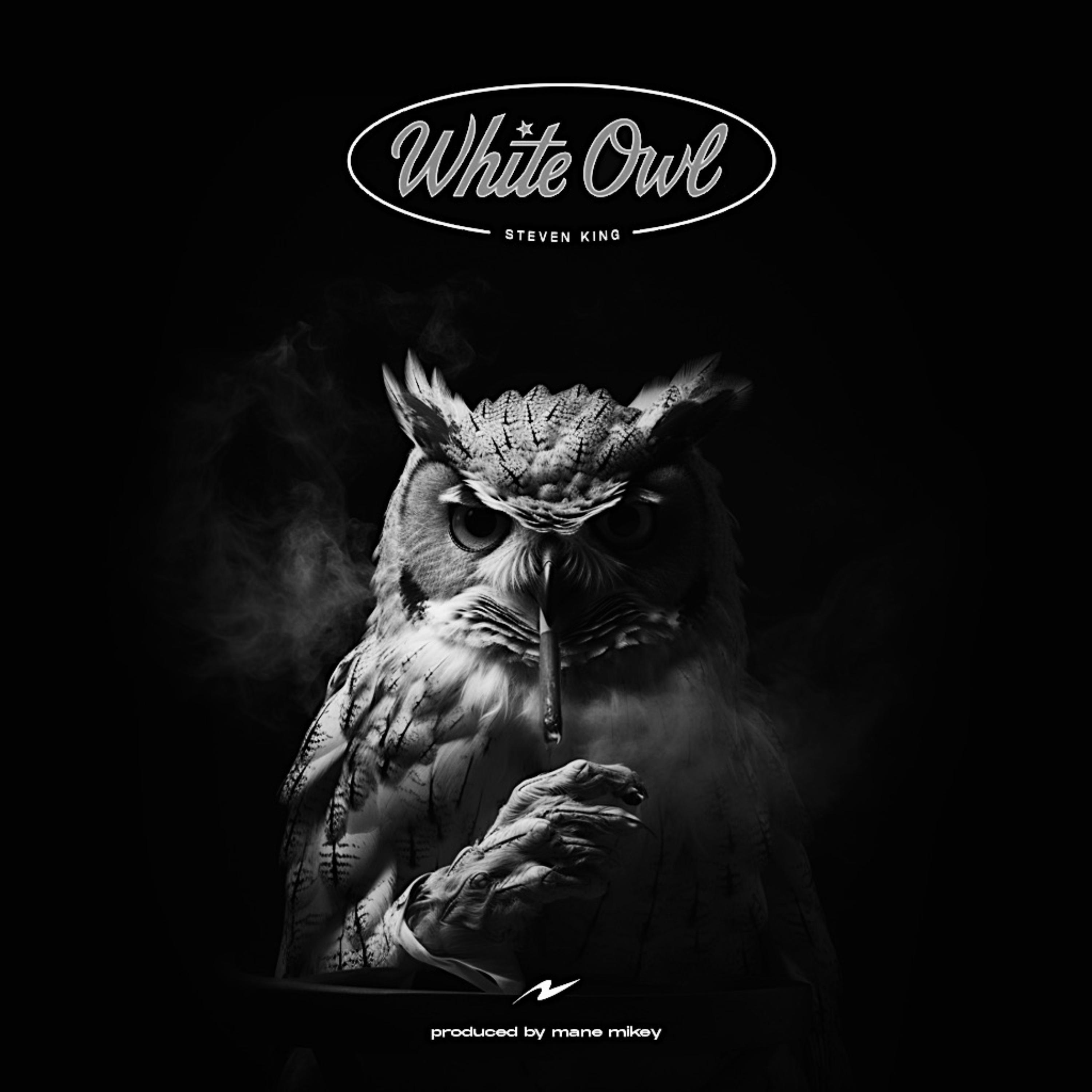 White Owl artwork