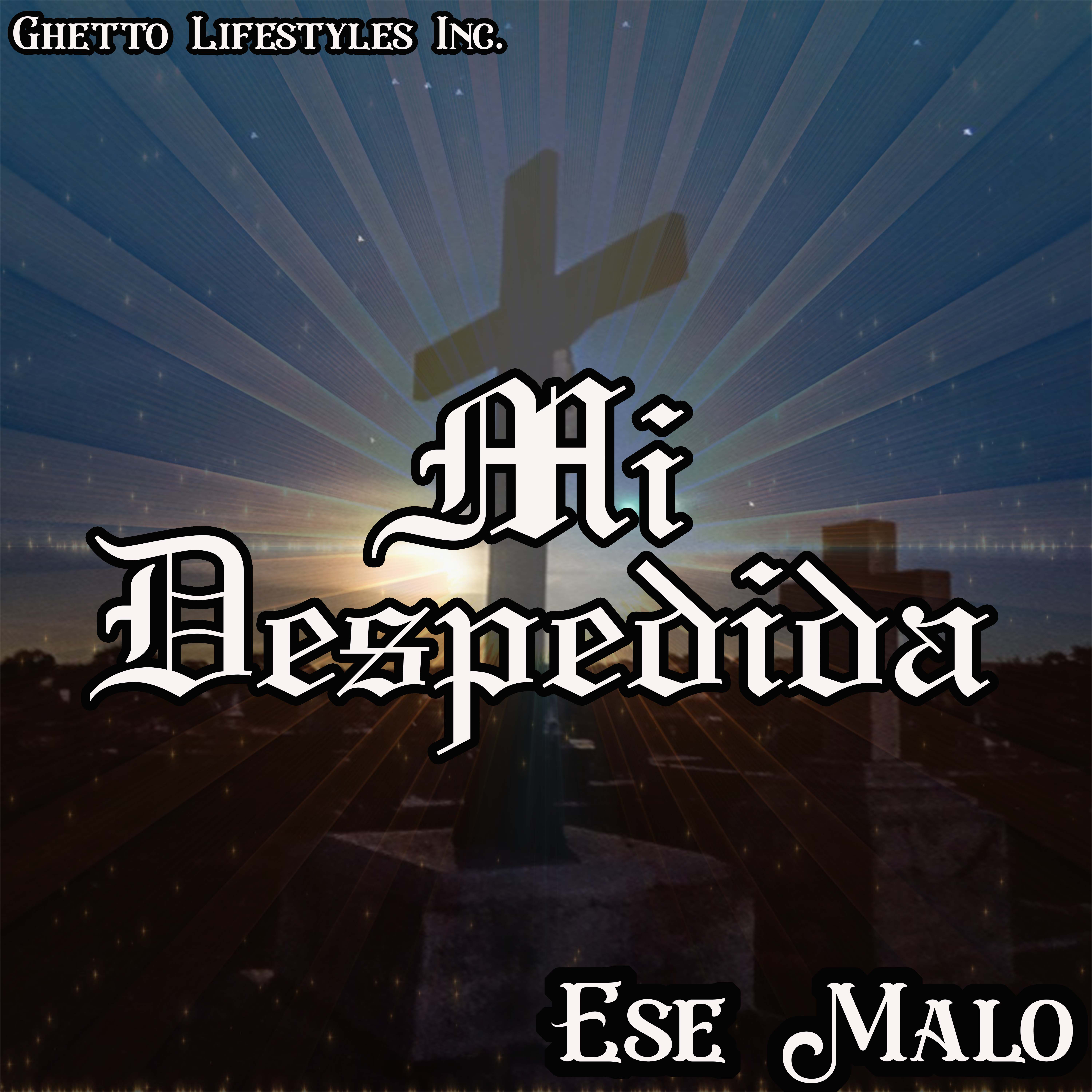 Mi Despedida artwork