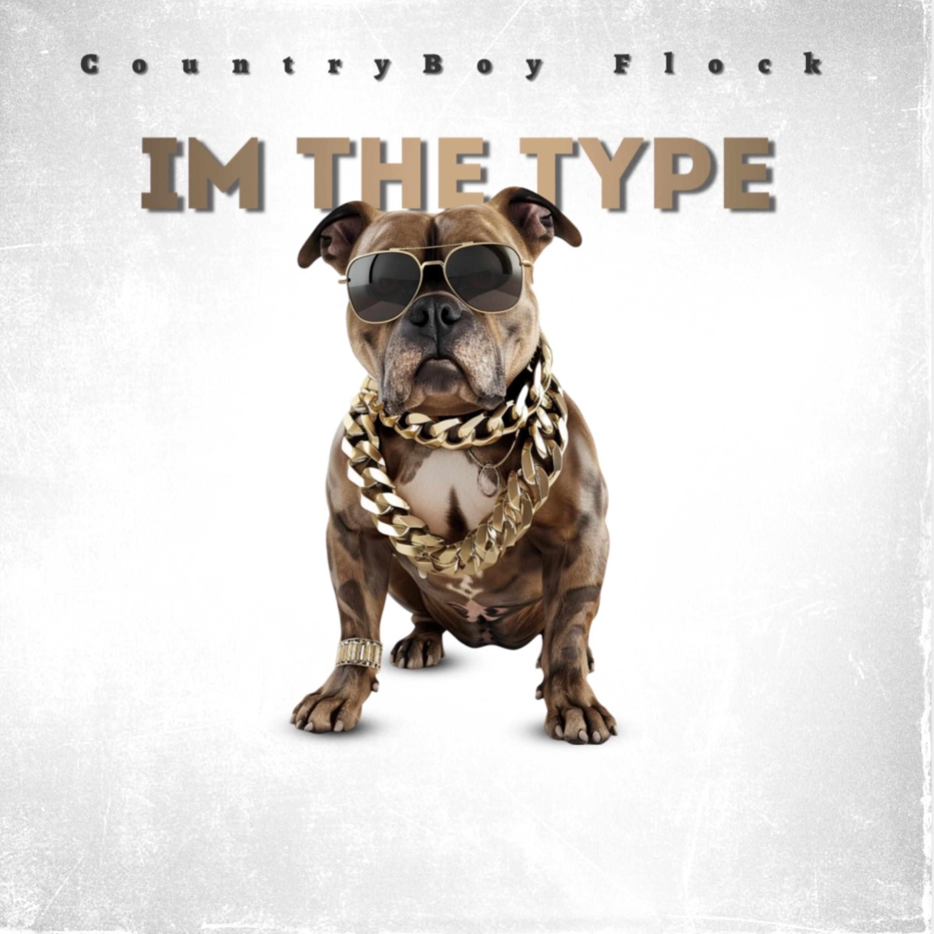 I’m The Type artwork