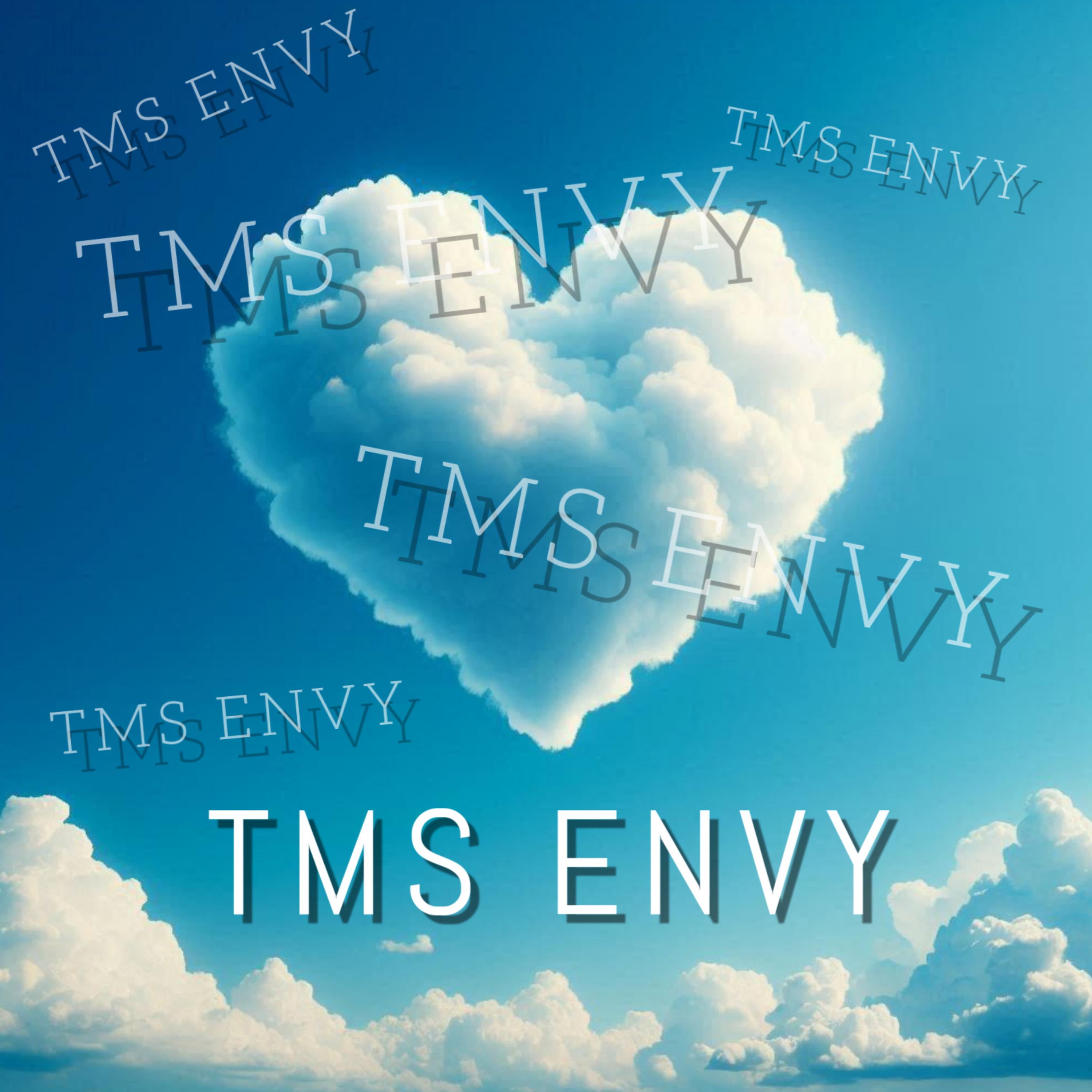 TMS ENVY artwork