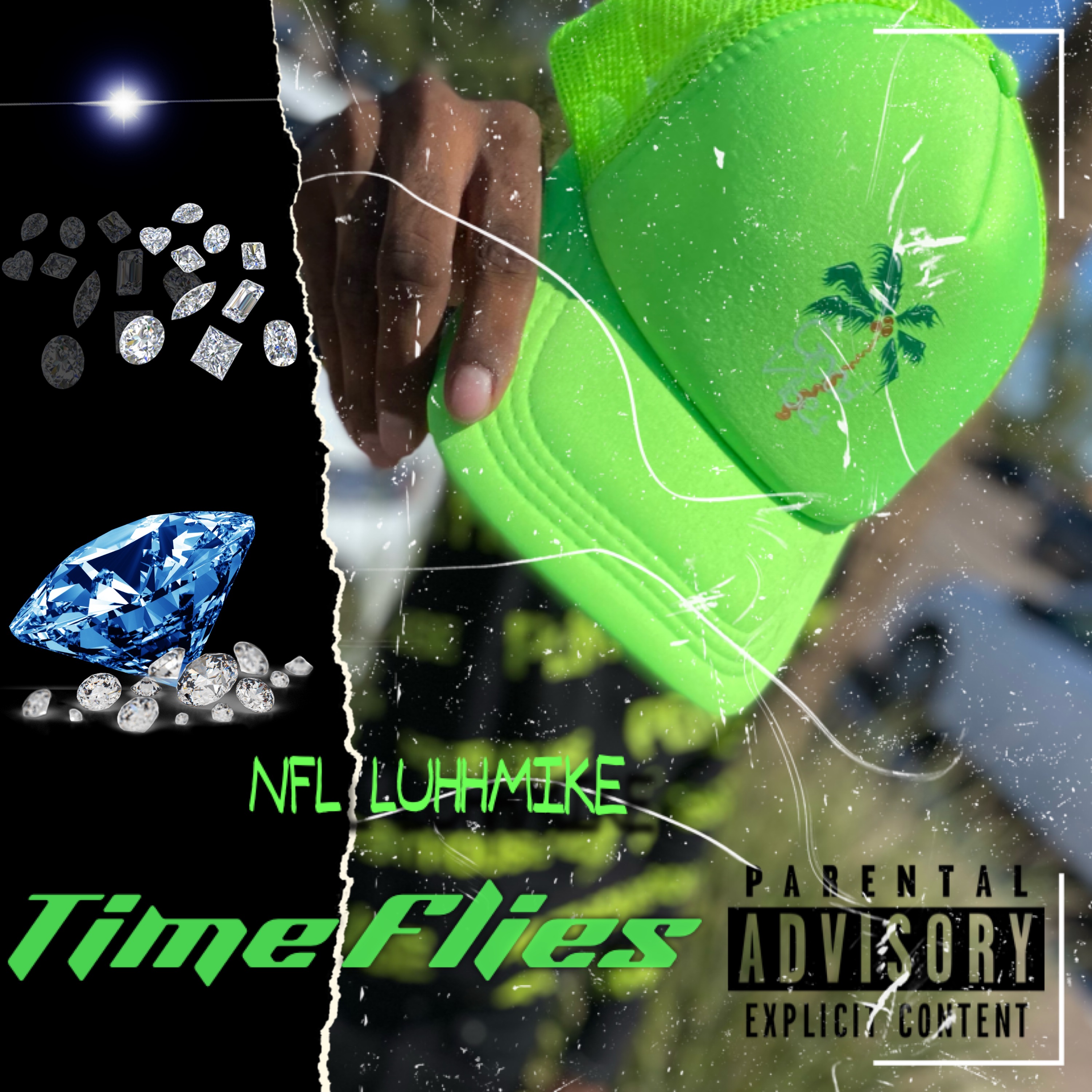 Time Flies artwork