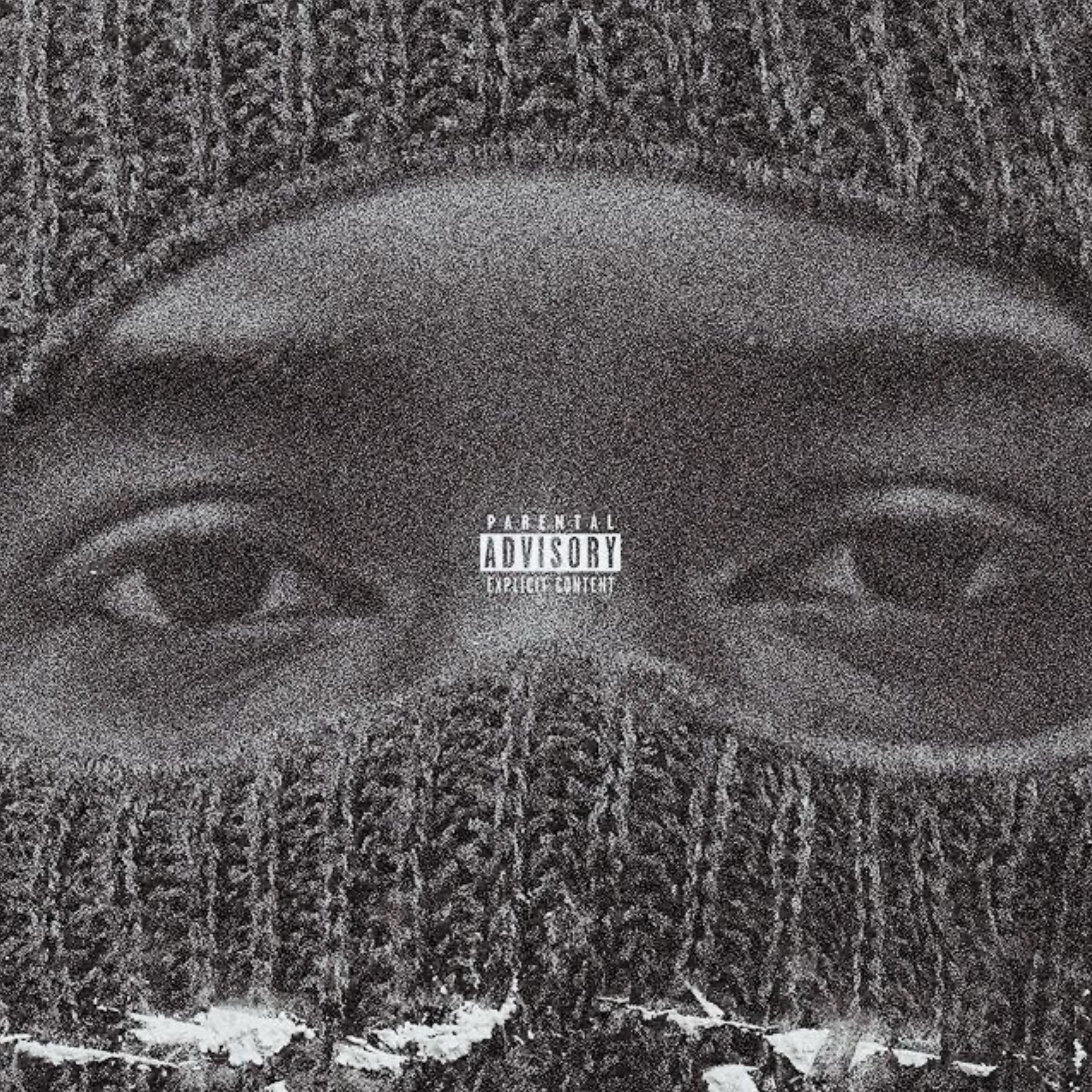 14 Reasons artwork