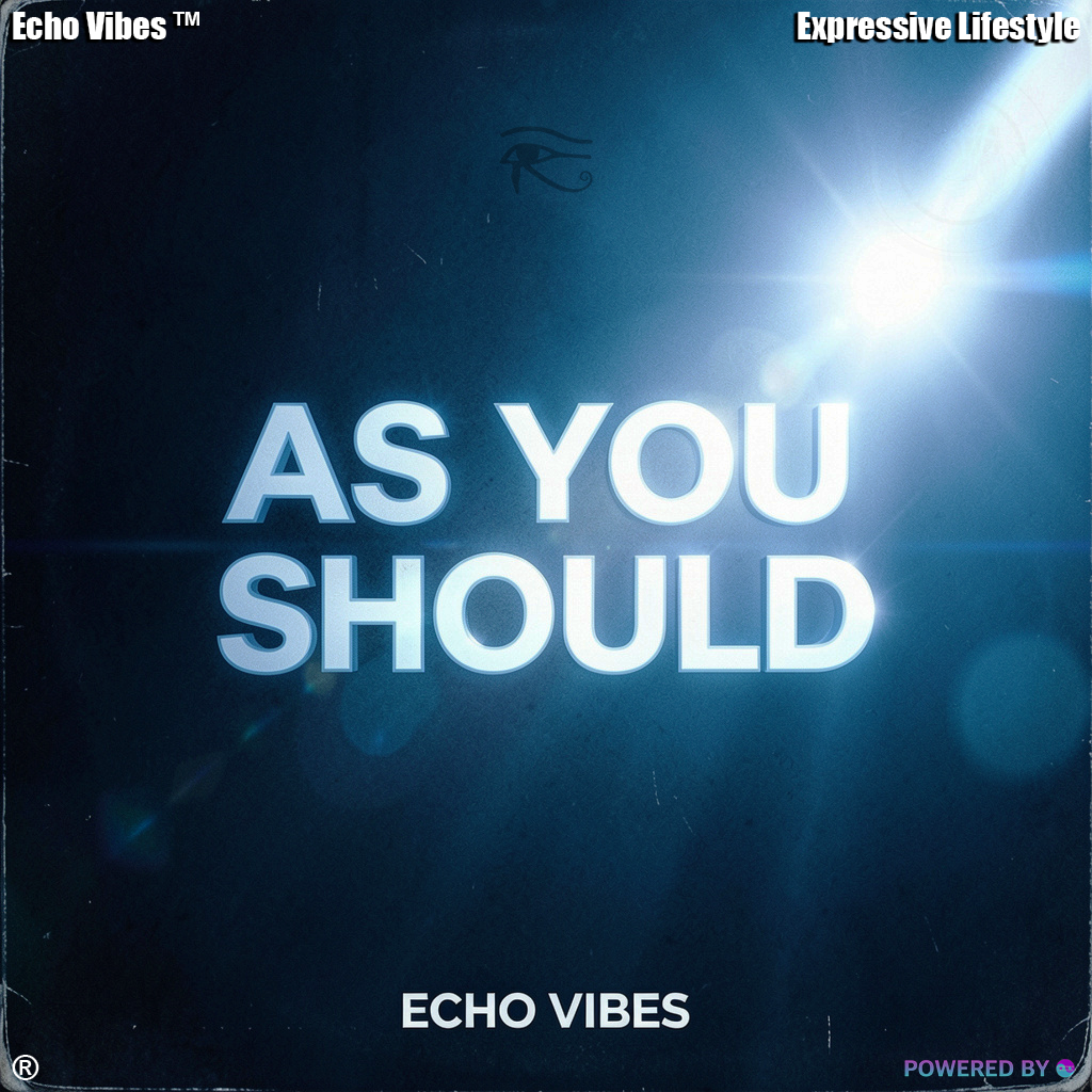 As YOU Should by Echo Vibes cover art