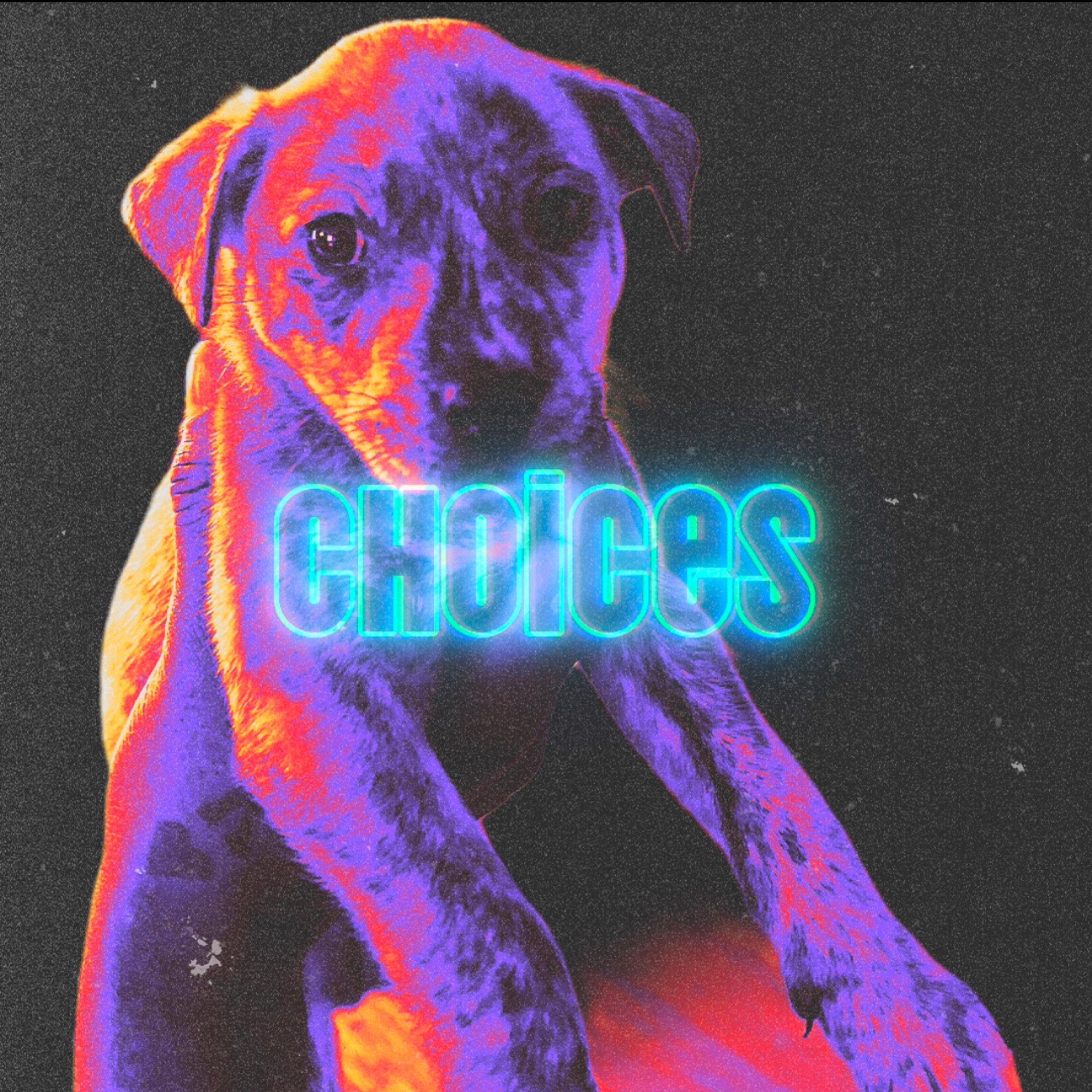 Choices artwork