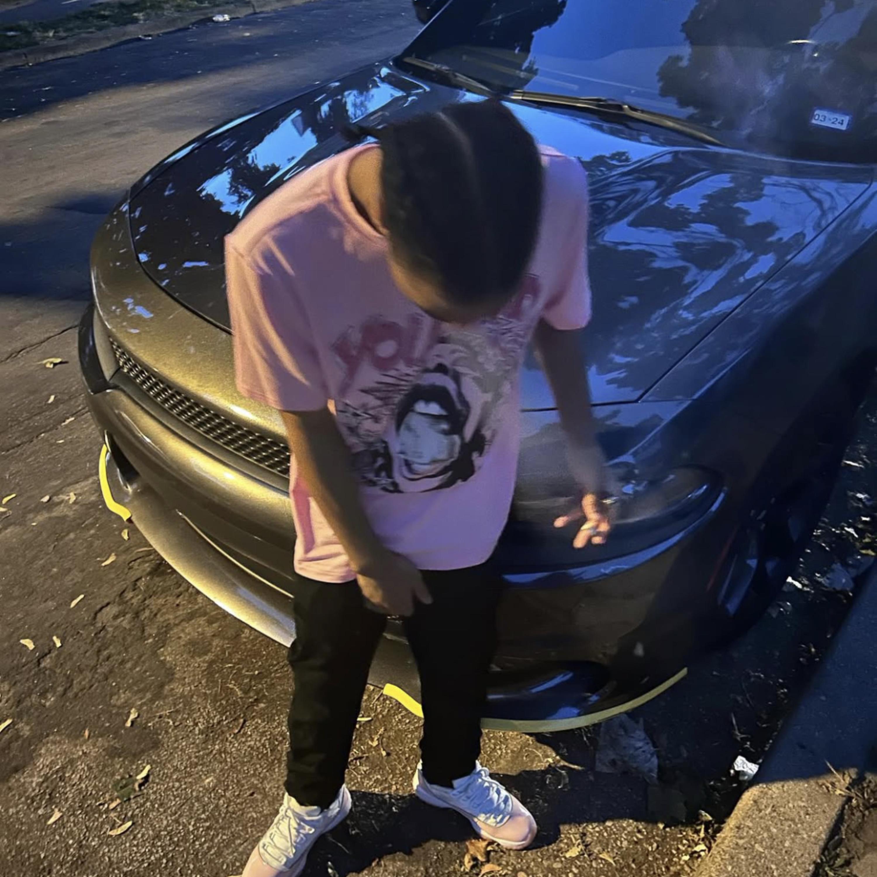 529 Diss artwork