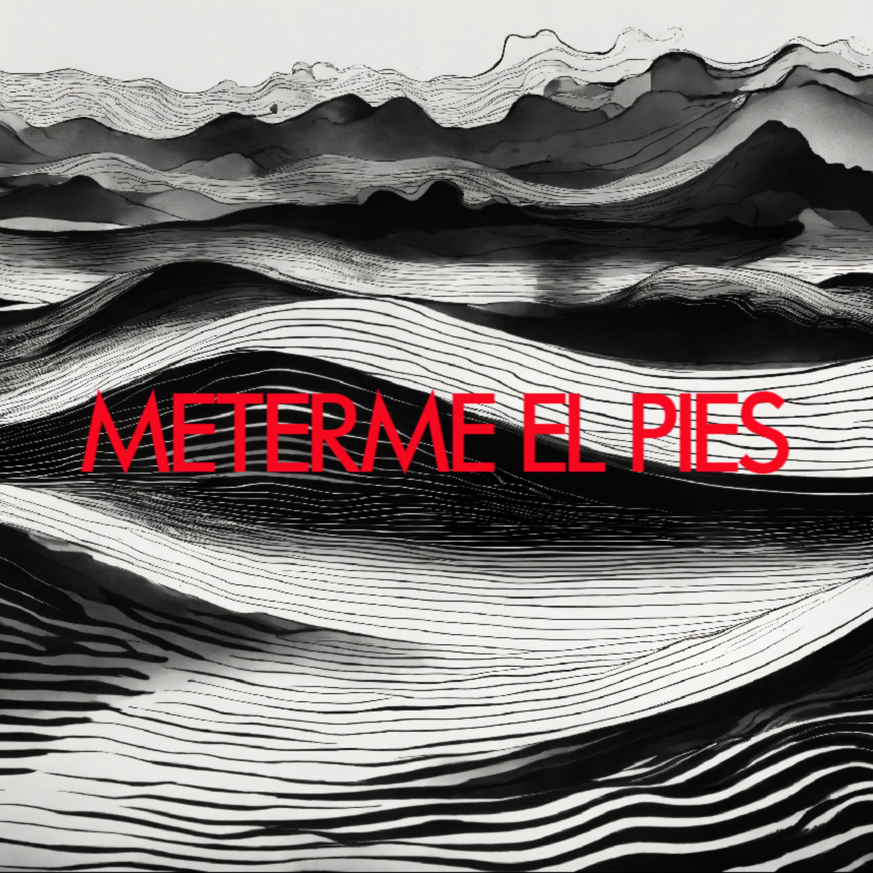 METERME EL PIES by Lil Savage cover art