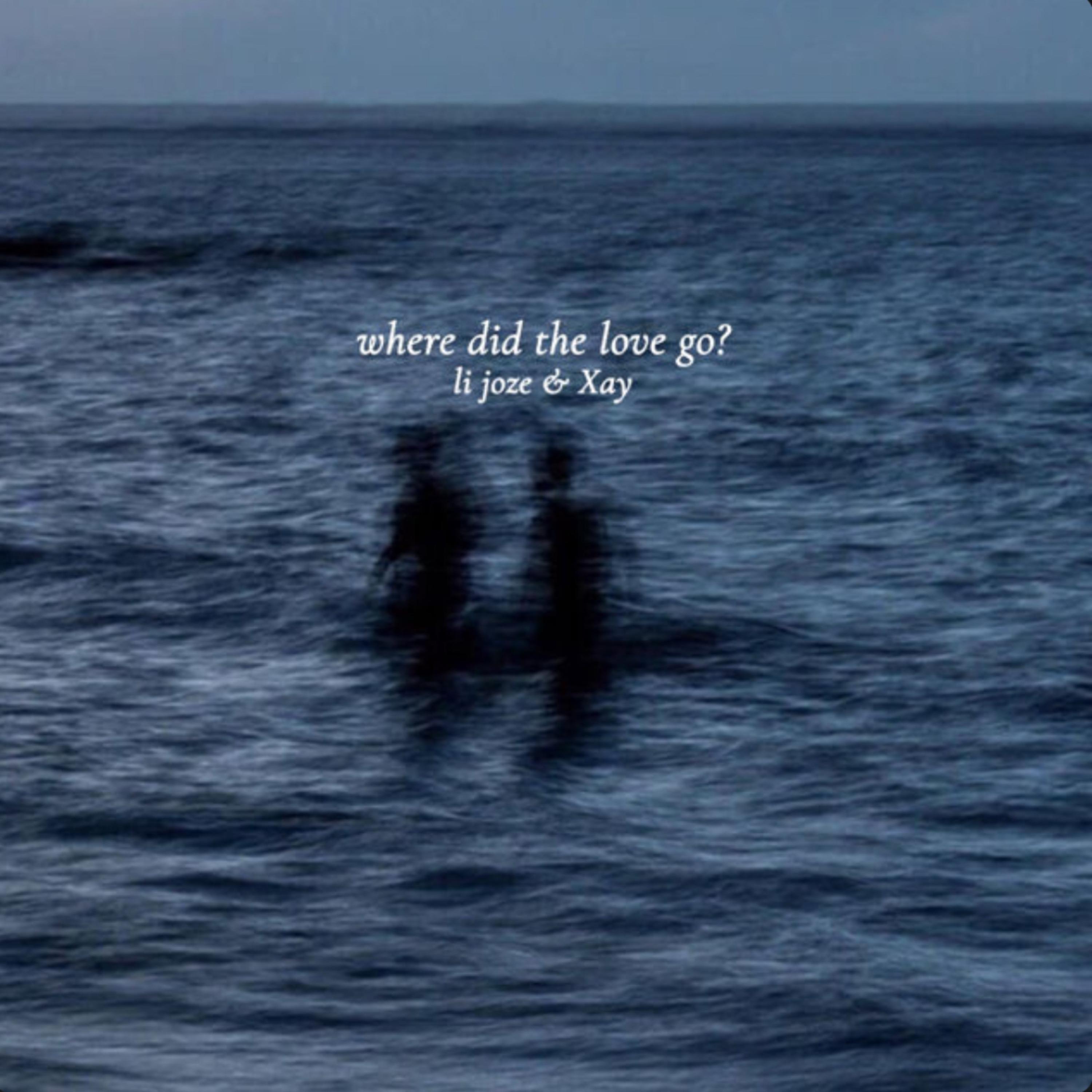 Where Did The Love Go? artwork