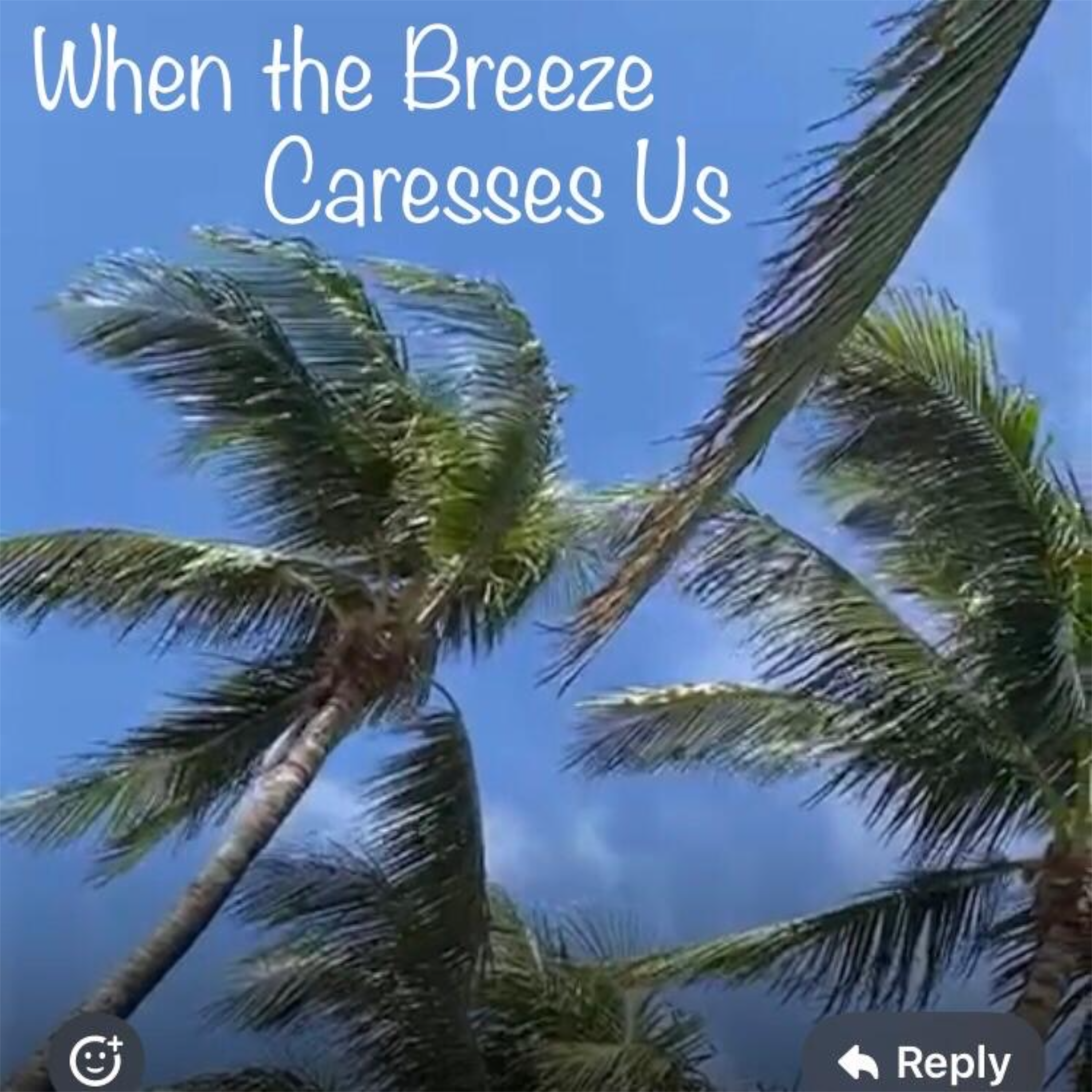 When the Breeze Caresses Us artwork