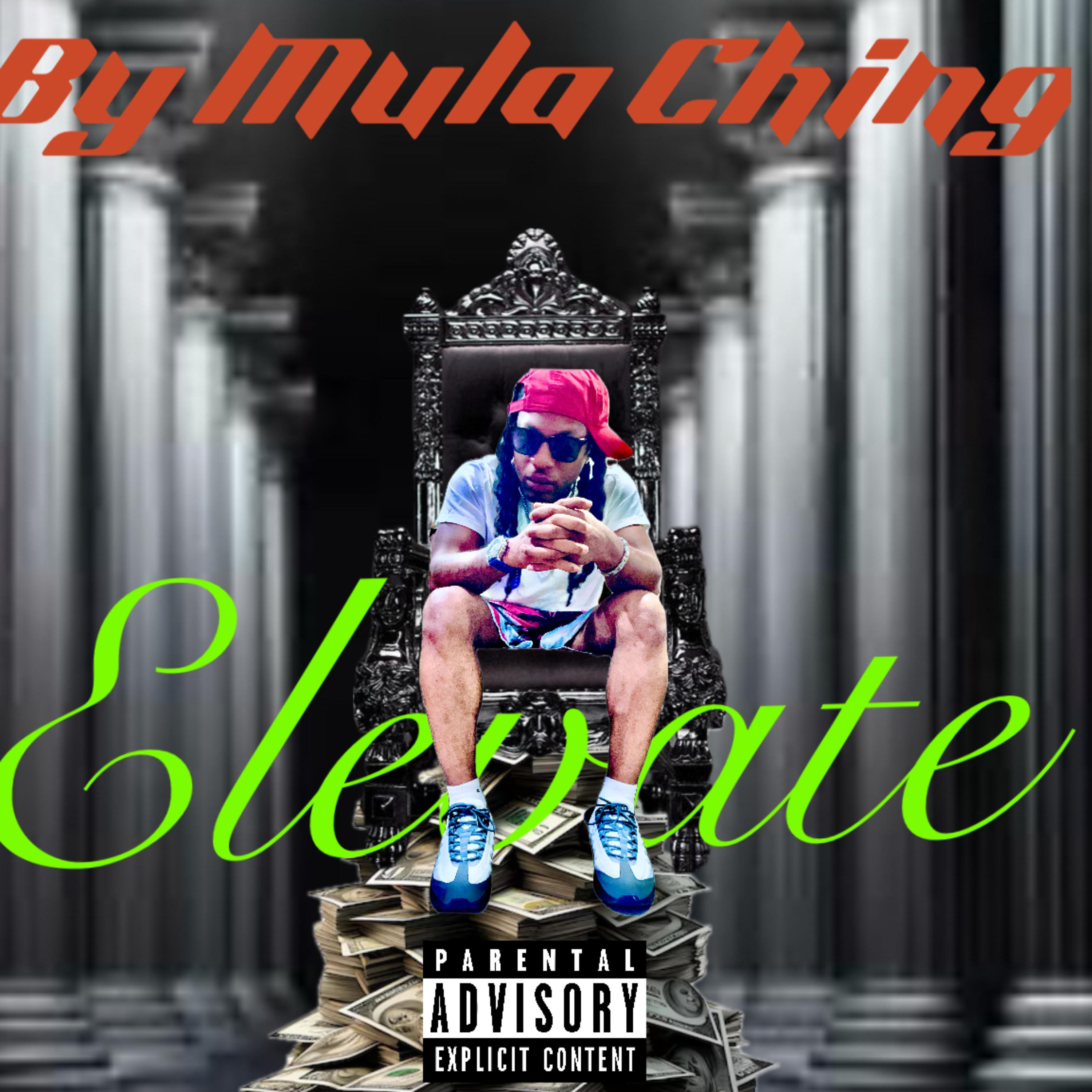 Elevate artwork