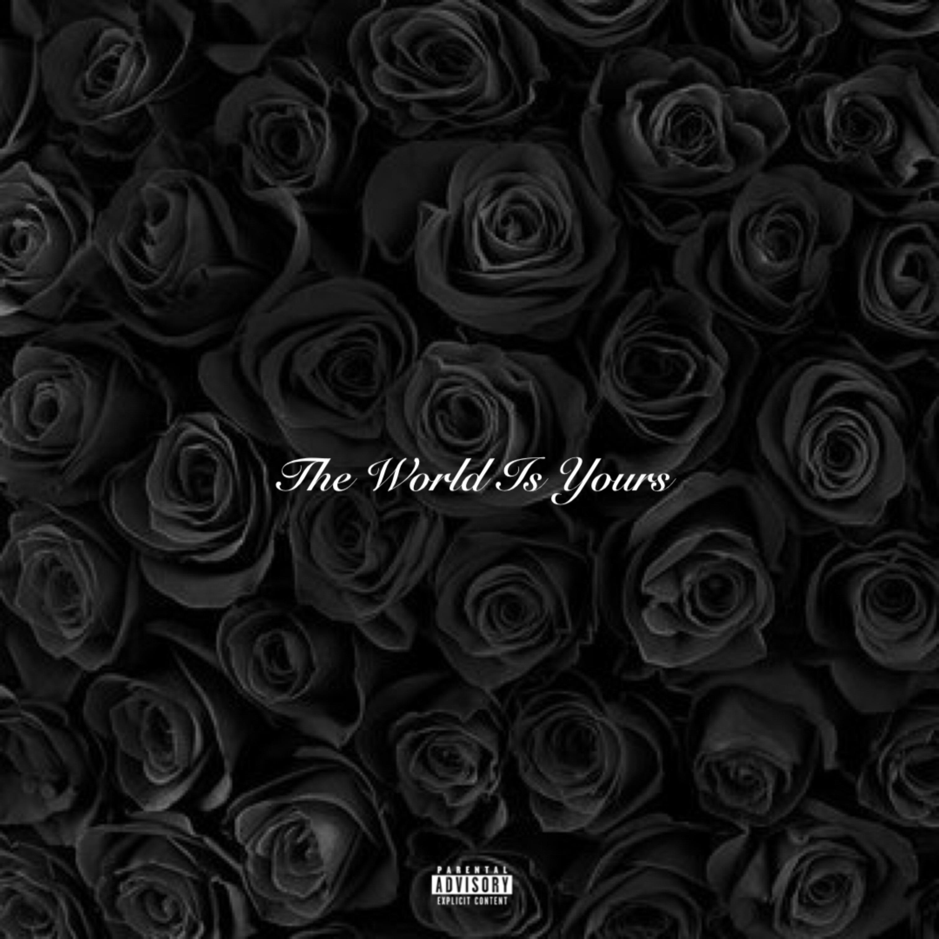 The World Is Yours artwork