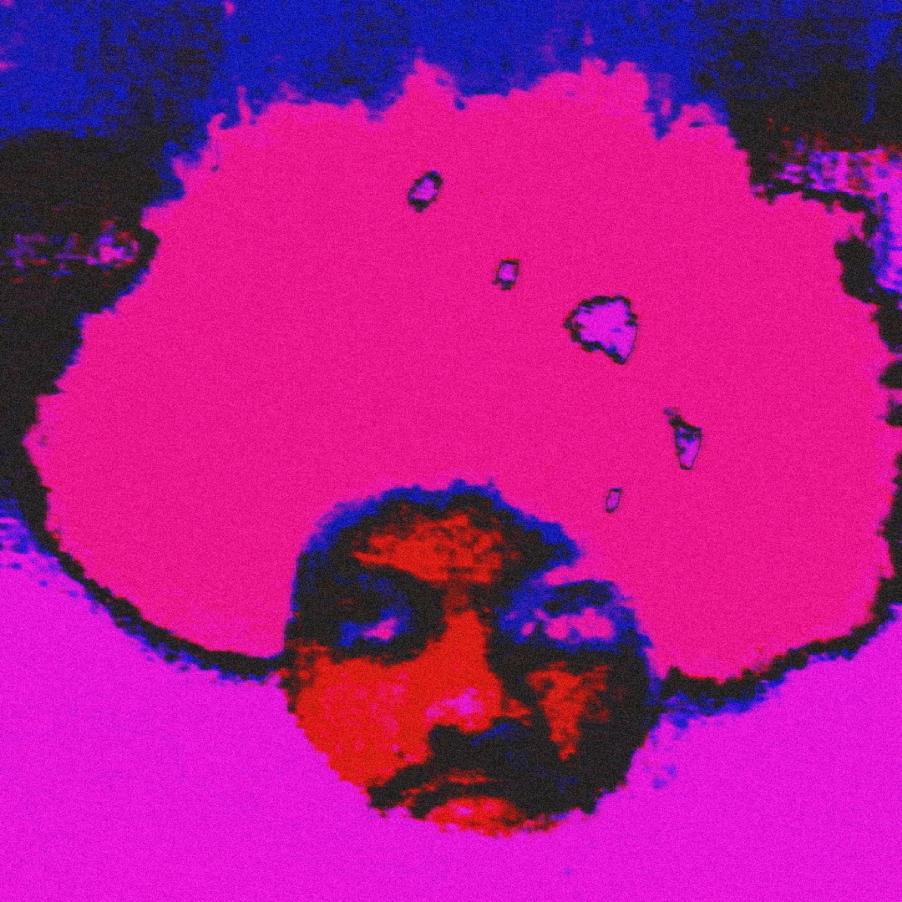 die today artwork