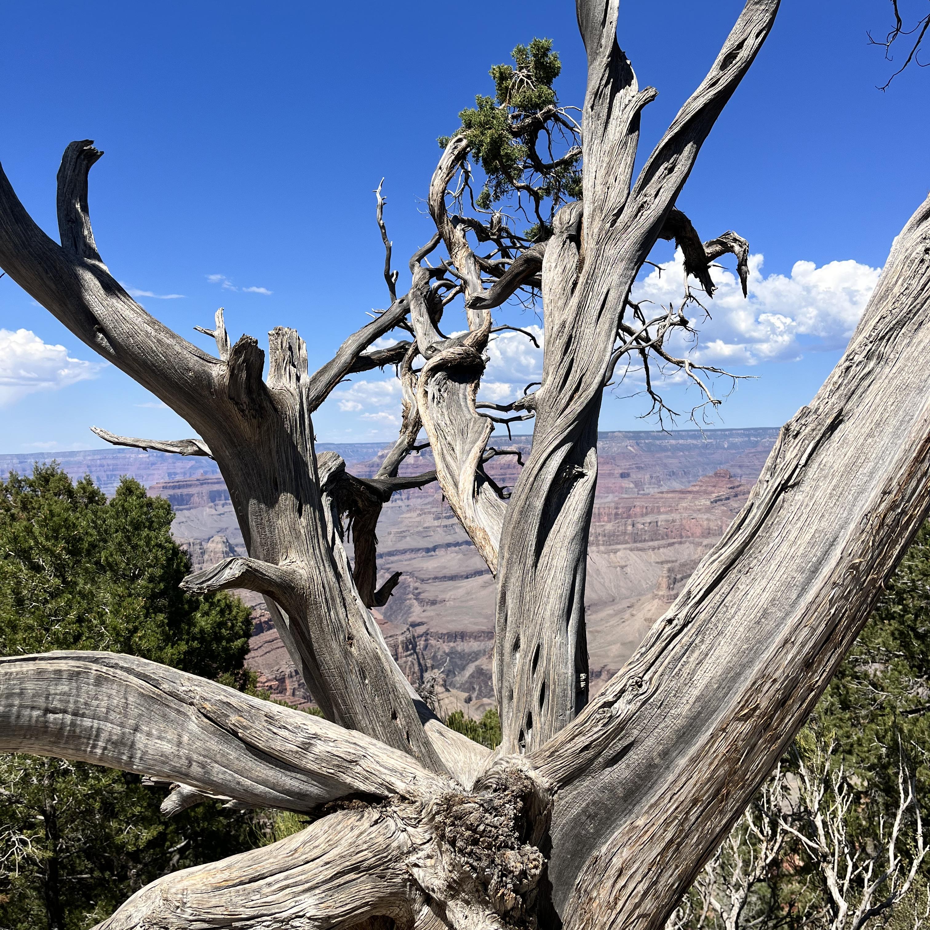 Don’t Stay Quiet artwork