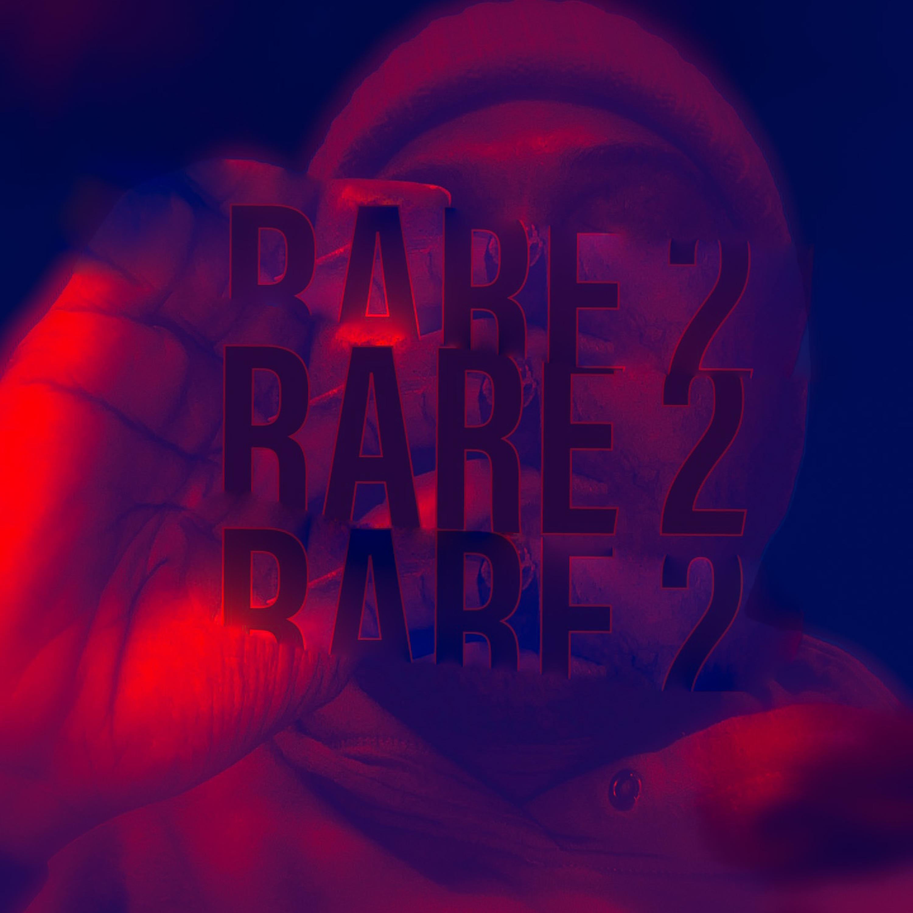 RARE 2 artwork