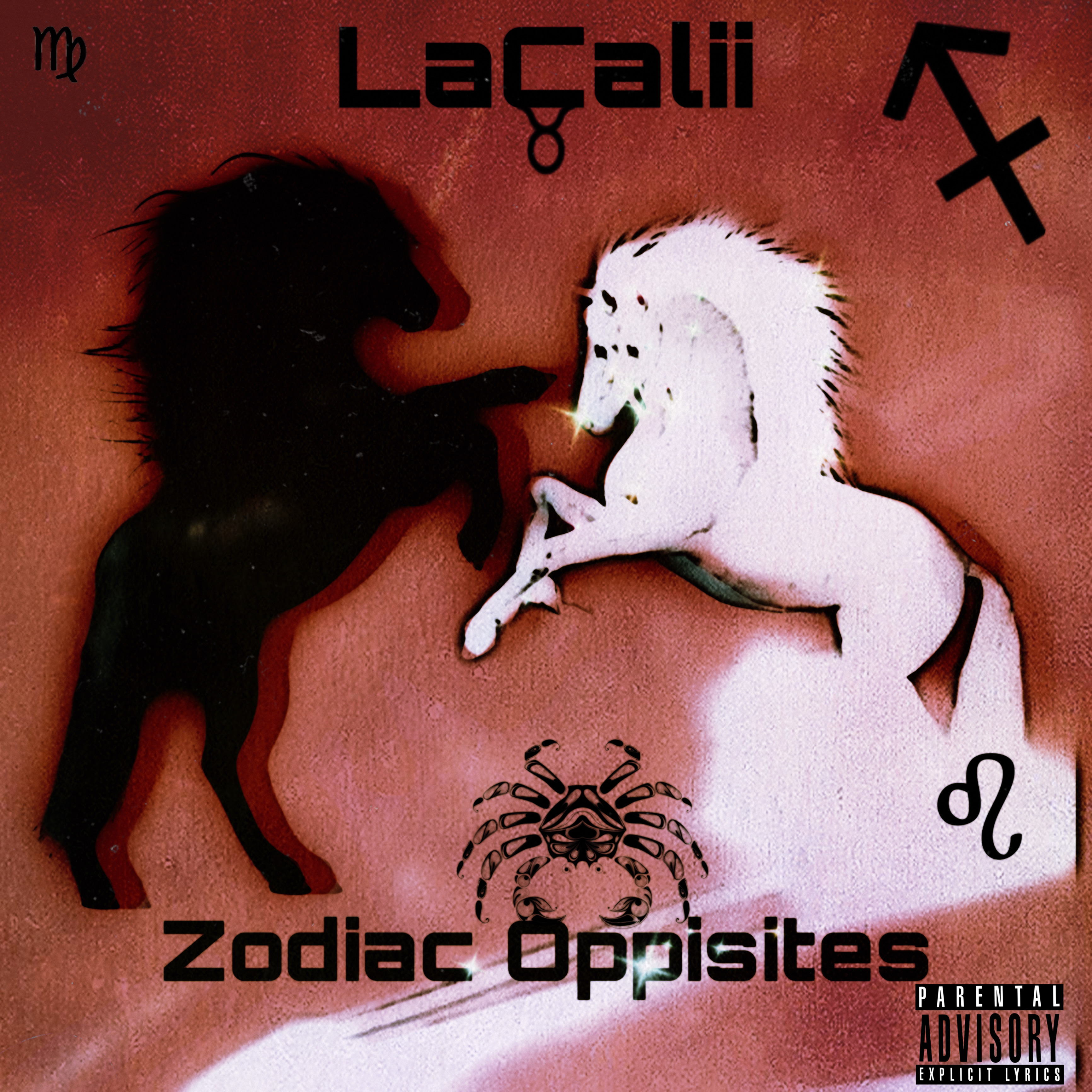 Zodiac Opposites artwork