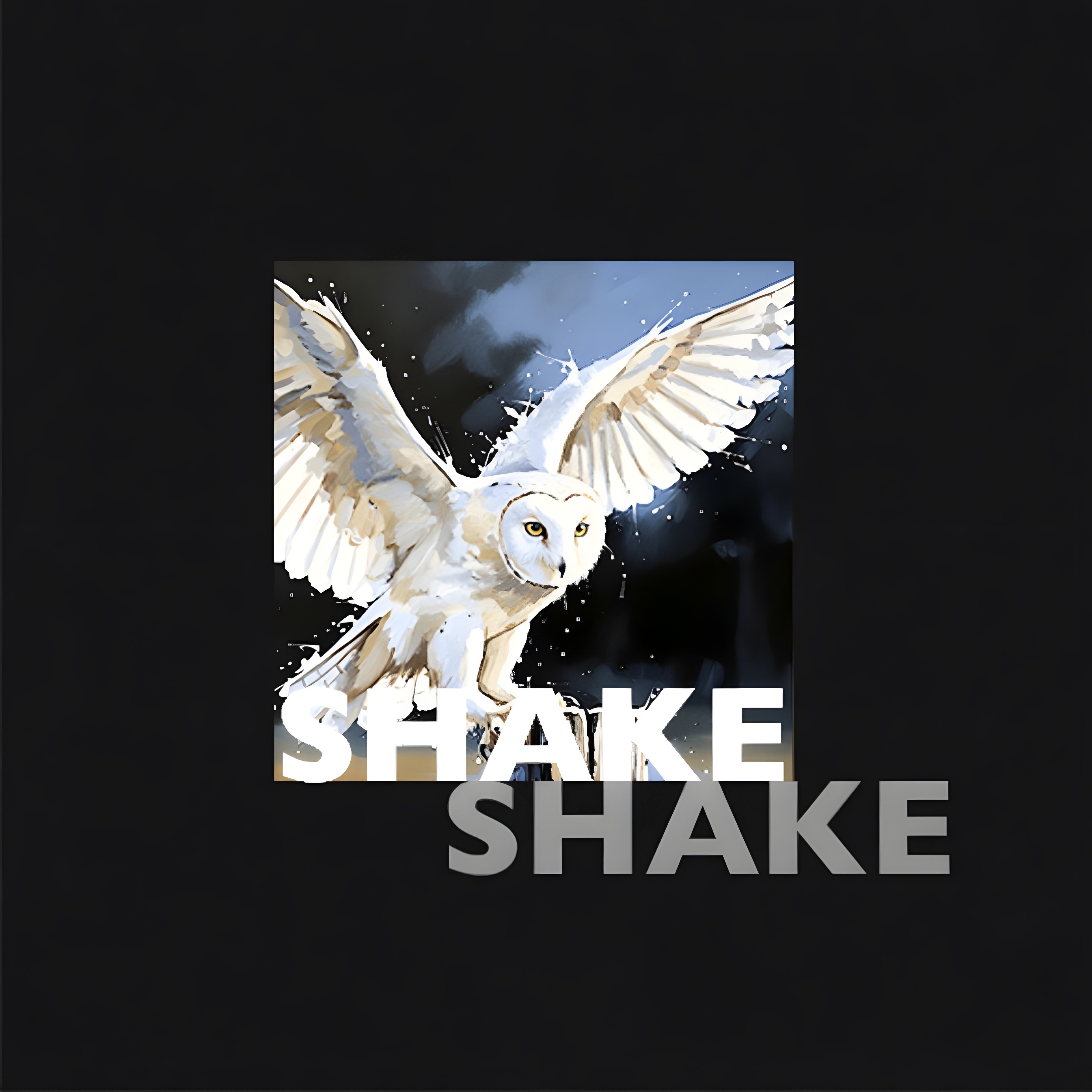 SHAKE, SHAKE artwork