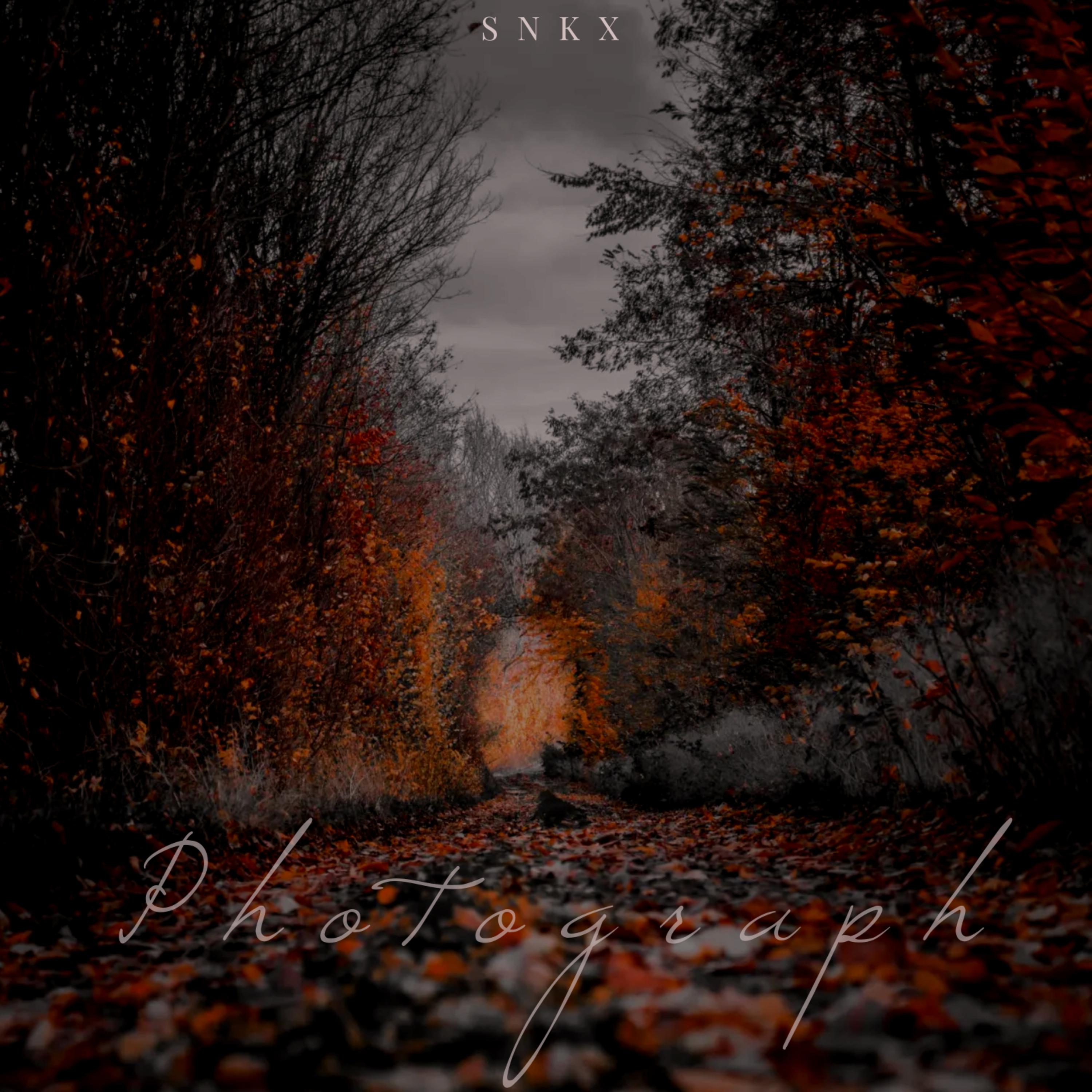 Photograph artwork