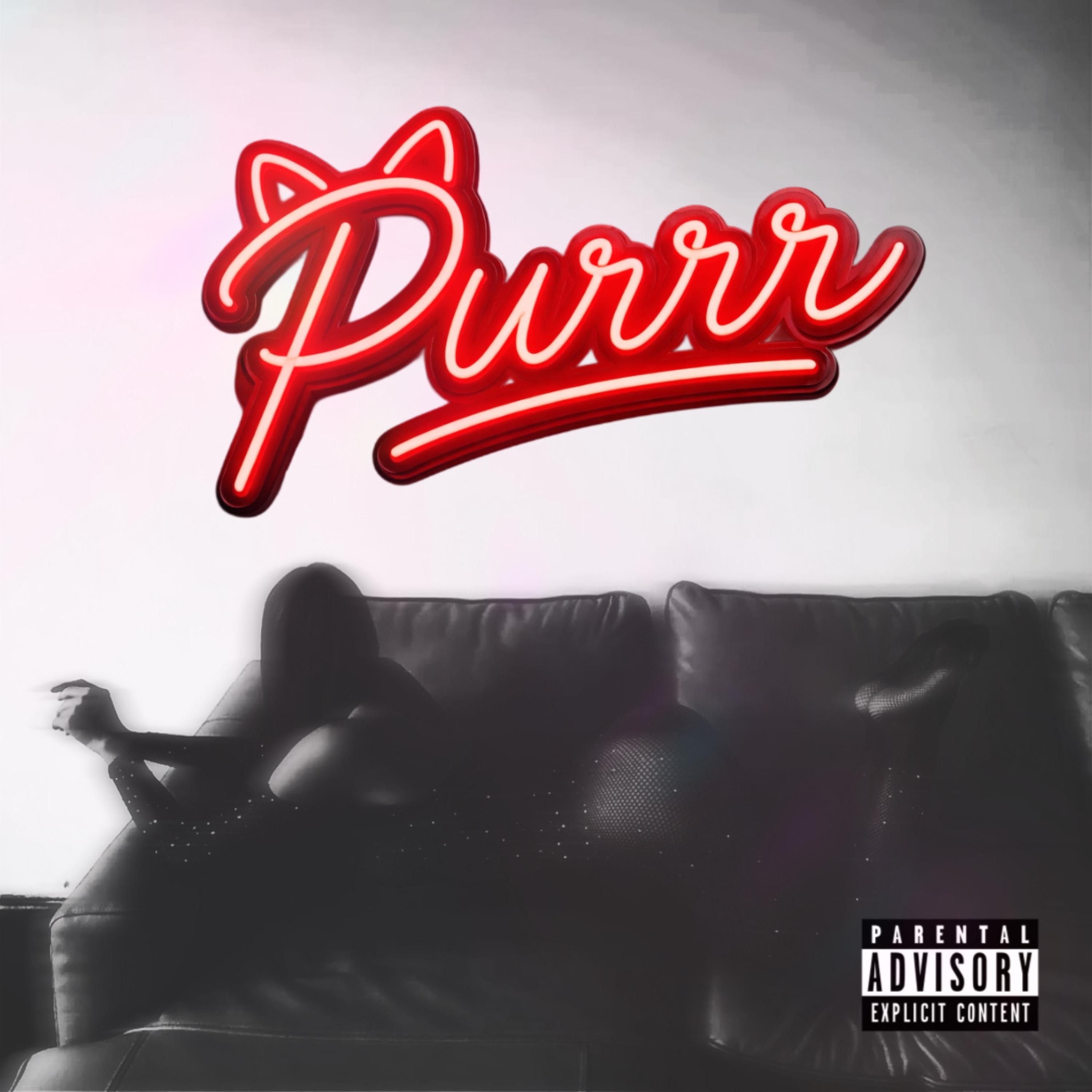 Purrr artwork