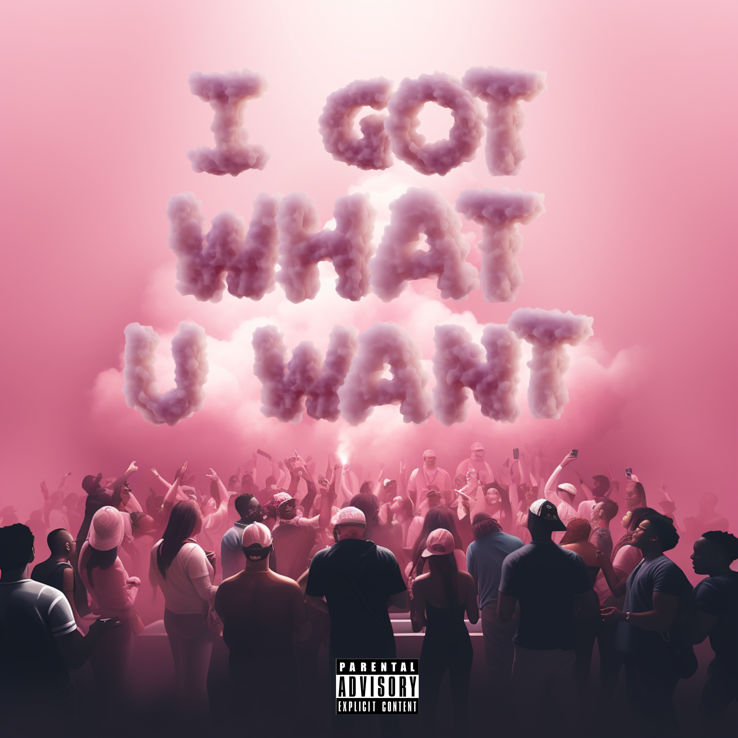 I GOT WHAT U WANT artwork