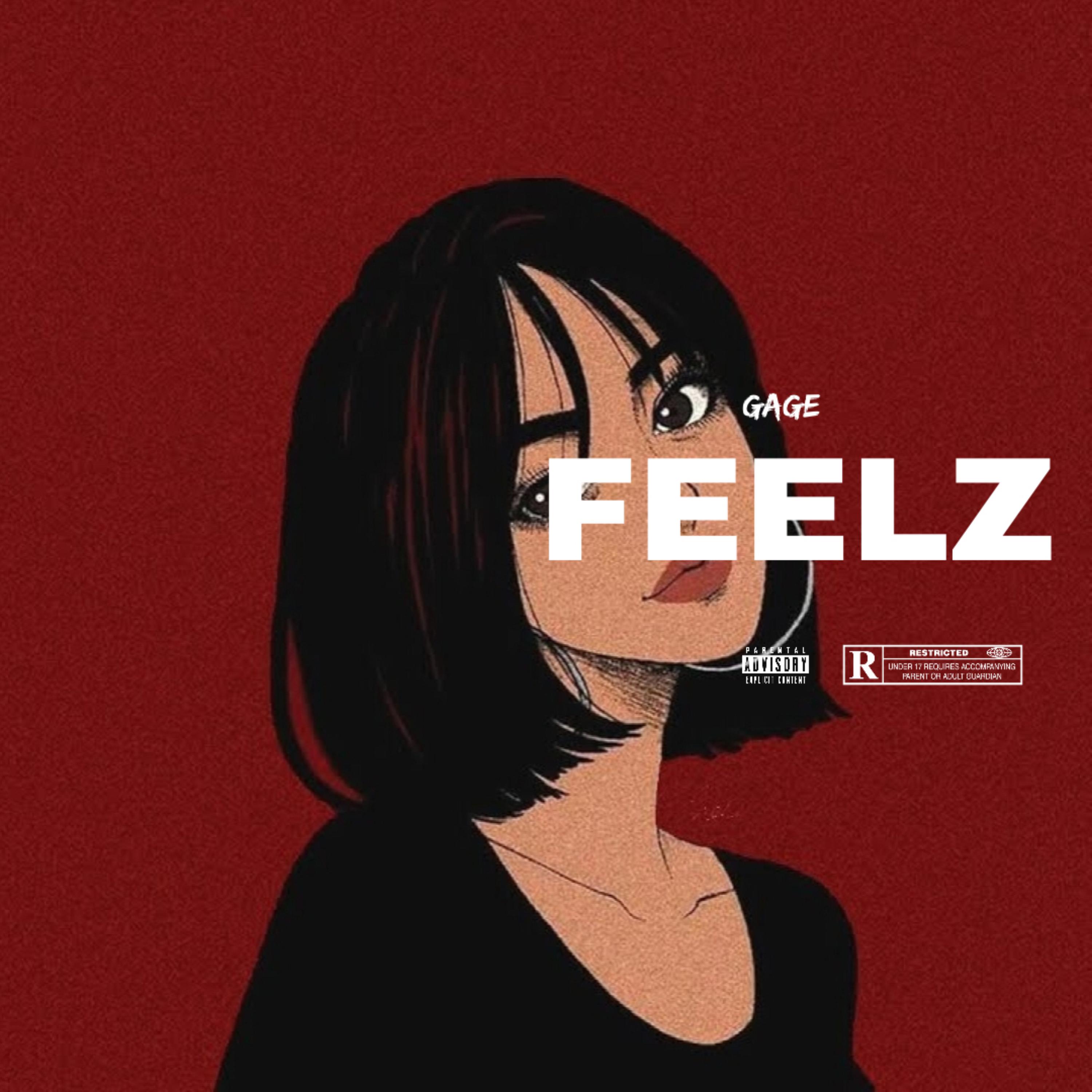 FEELZ artwork