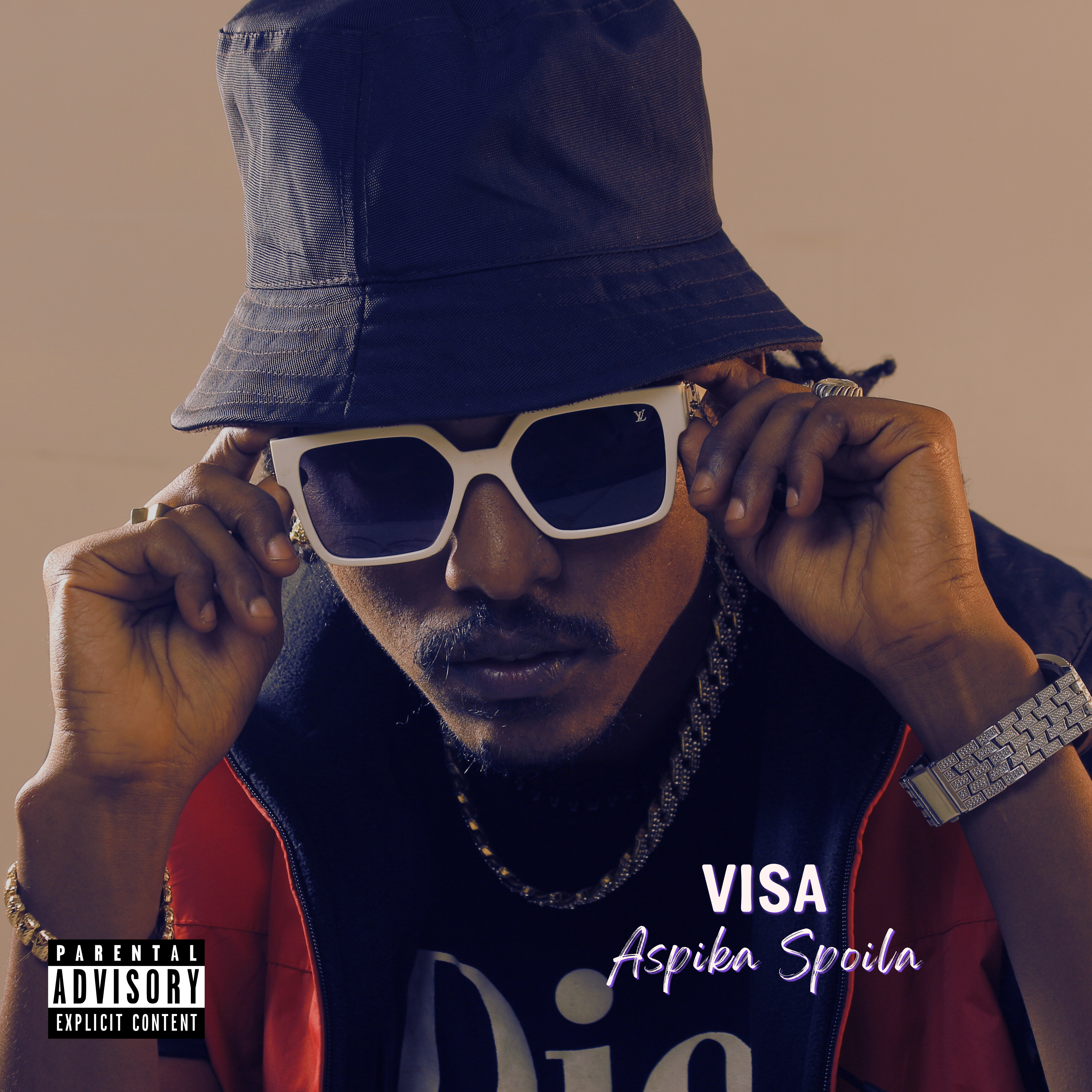 Visa artwork