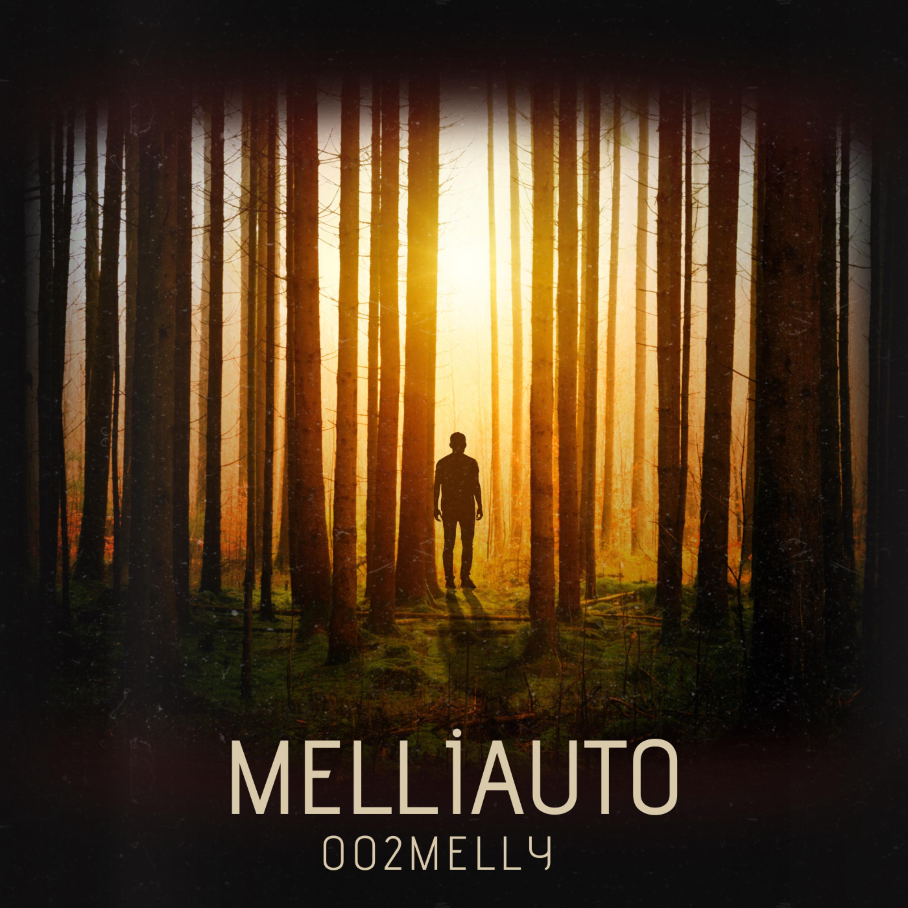 Melliauto artwork