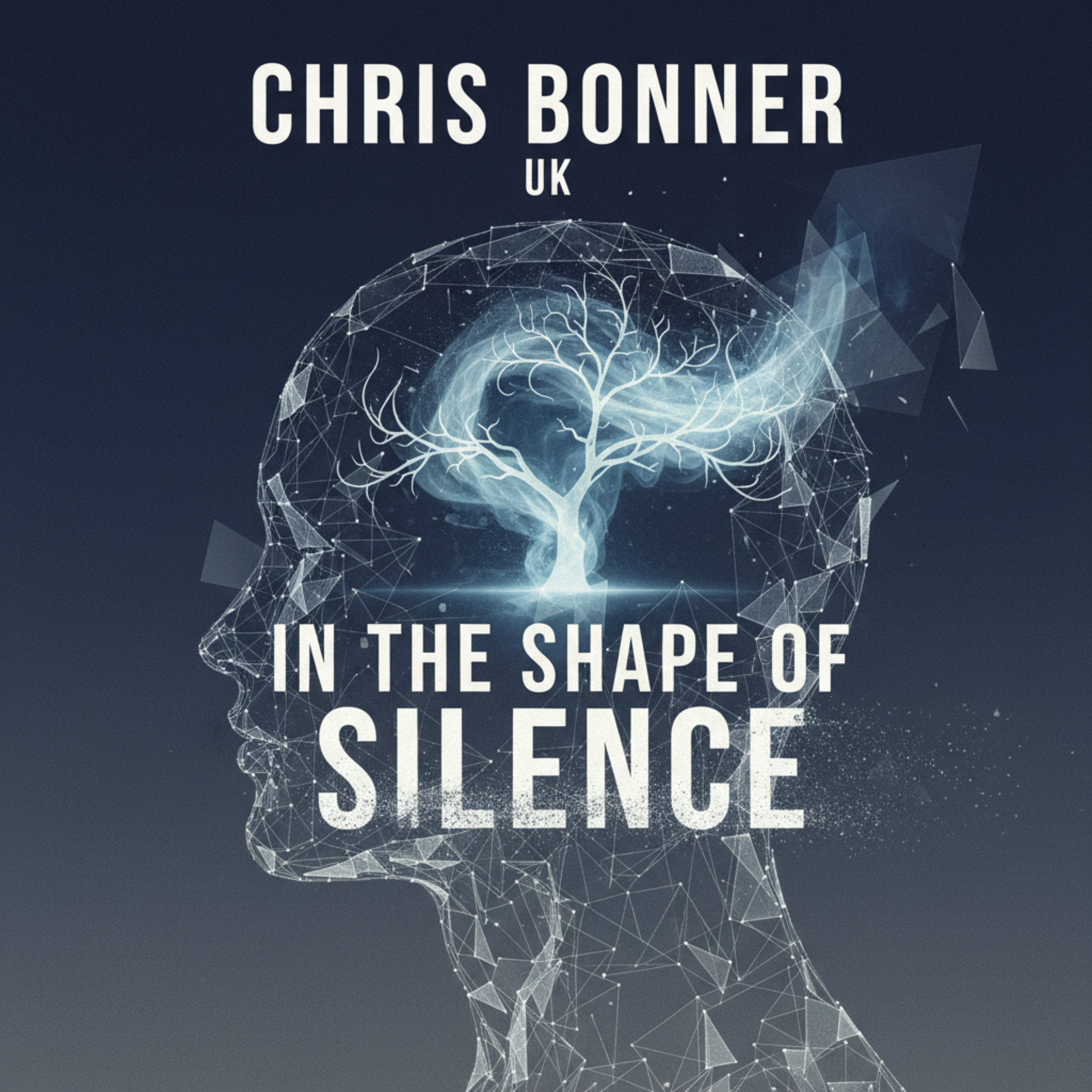 In the Shape of Silence by Chris Bonner UK cover art