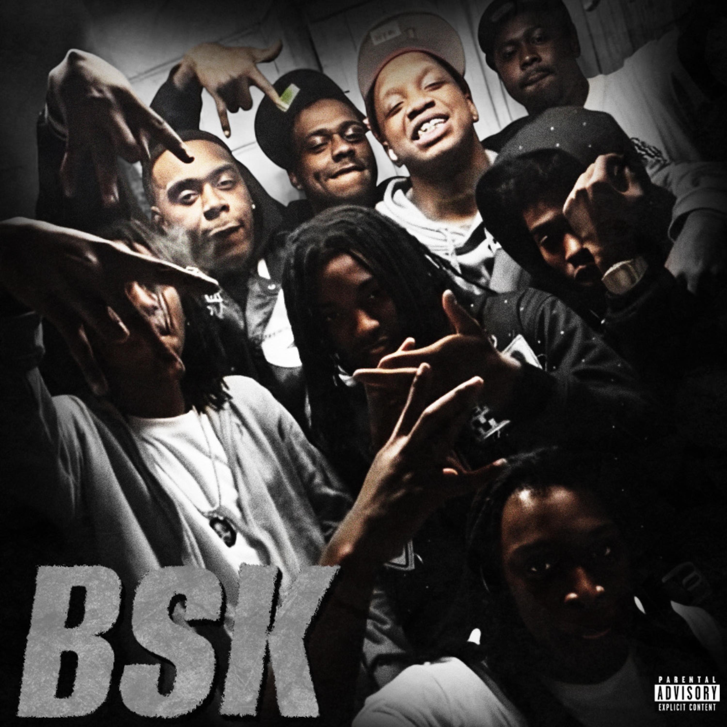 BSK artwork