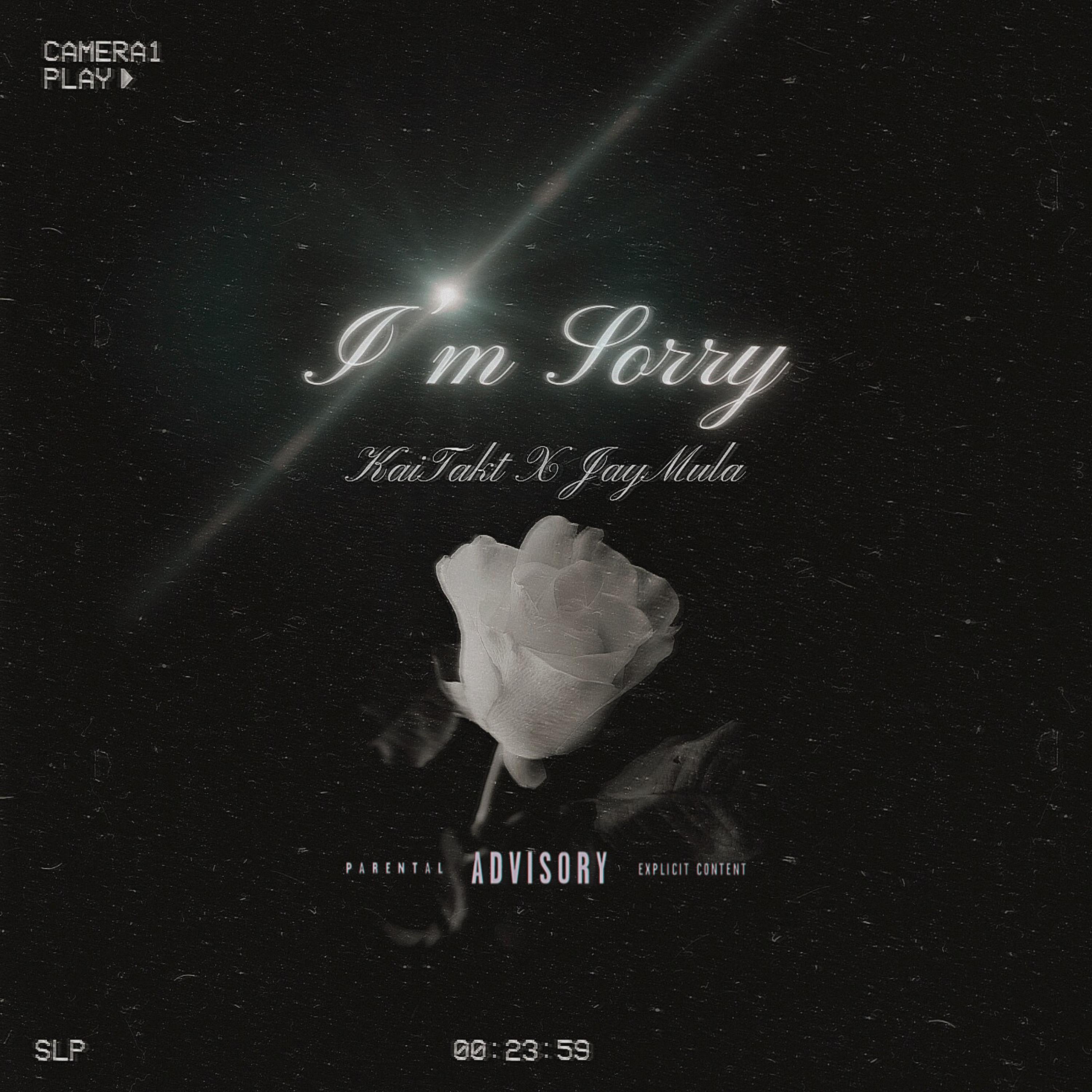 I’m Sorry artwork