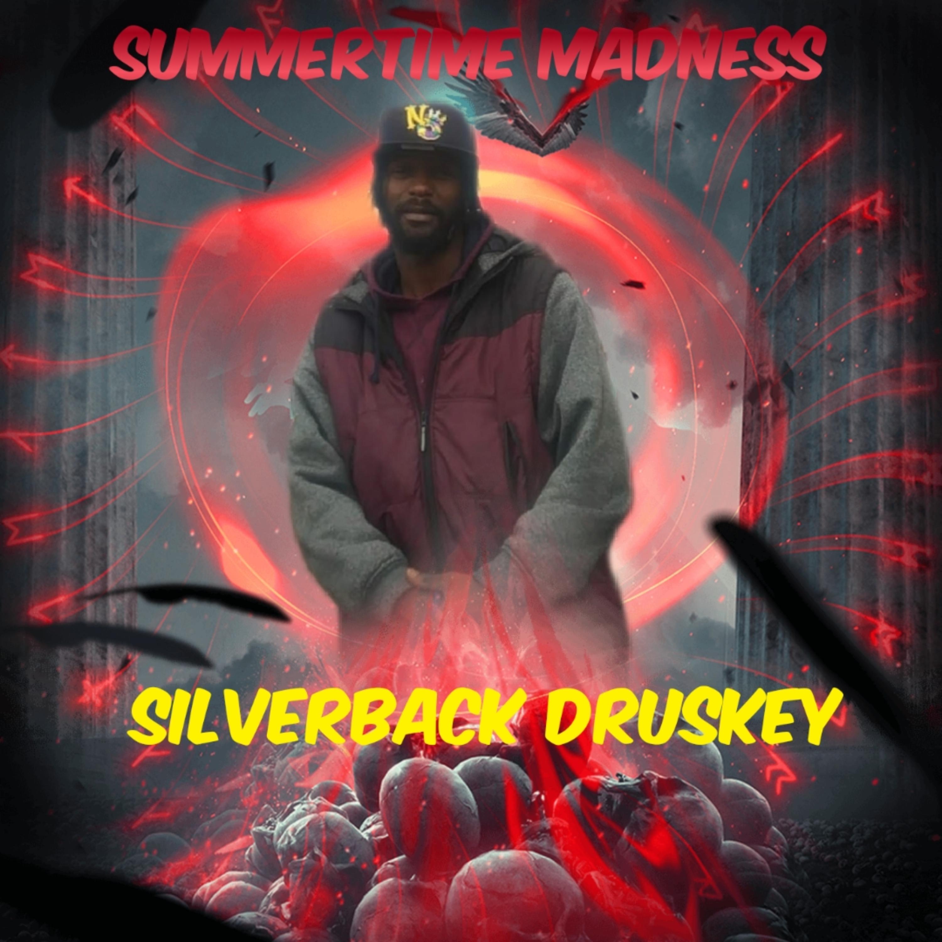 SUMMERTIME madness  artwork