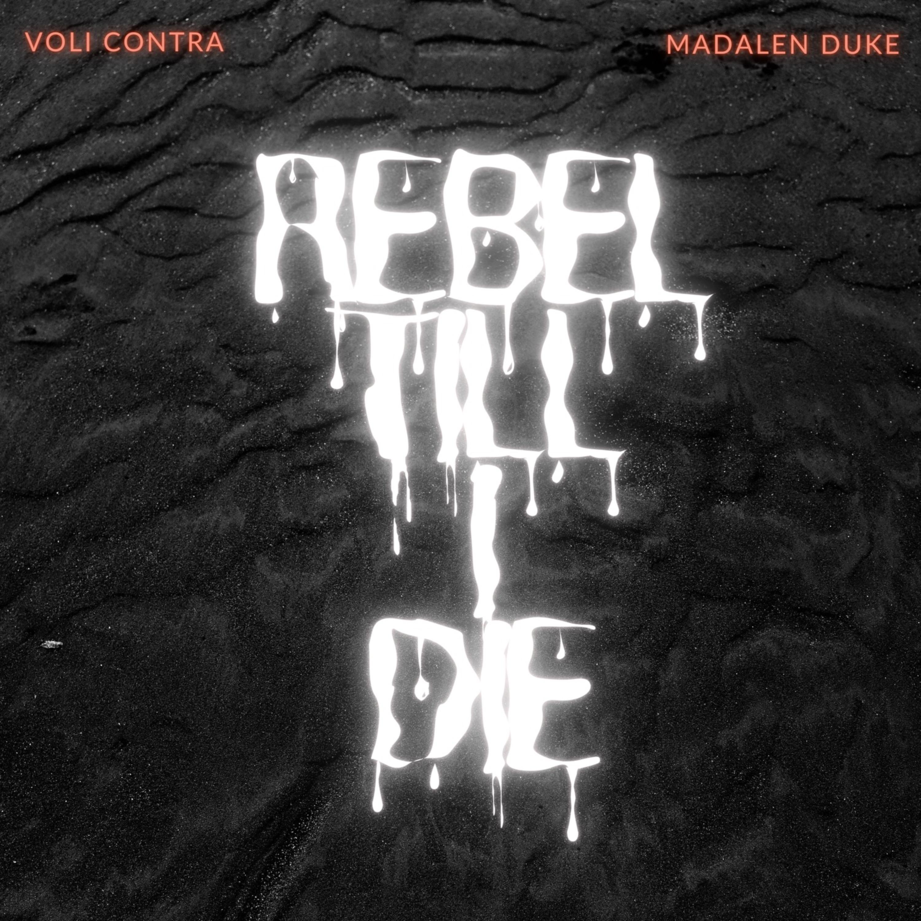 Rebel Till I Die artwork