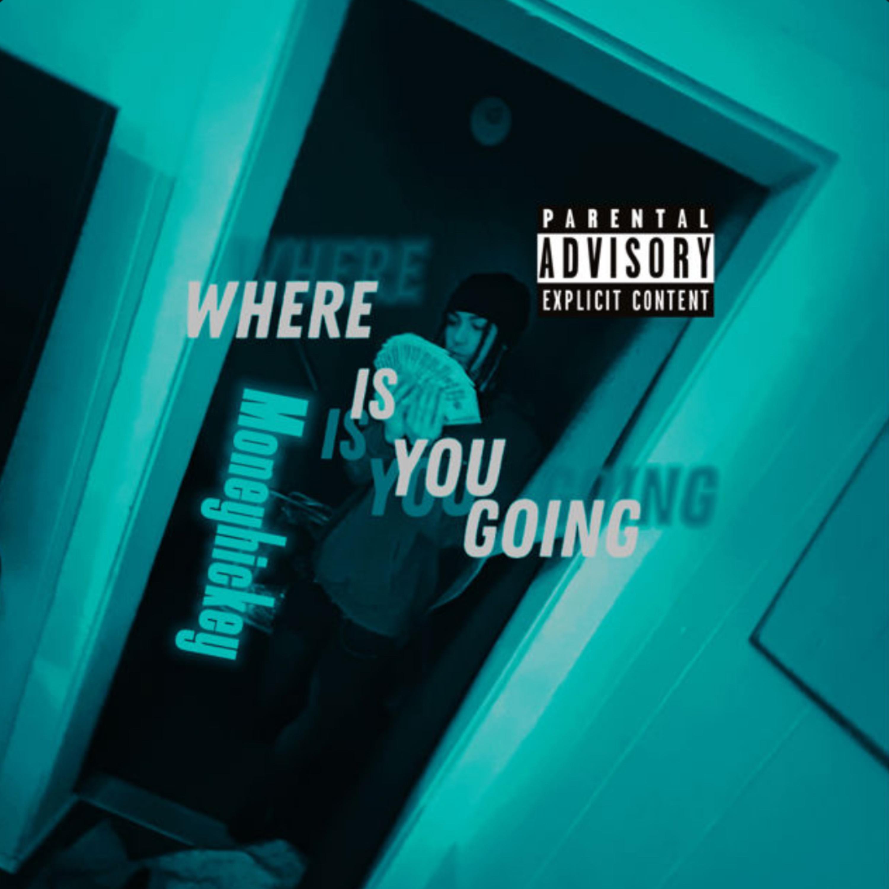 Where Is You Going artwork