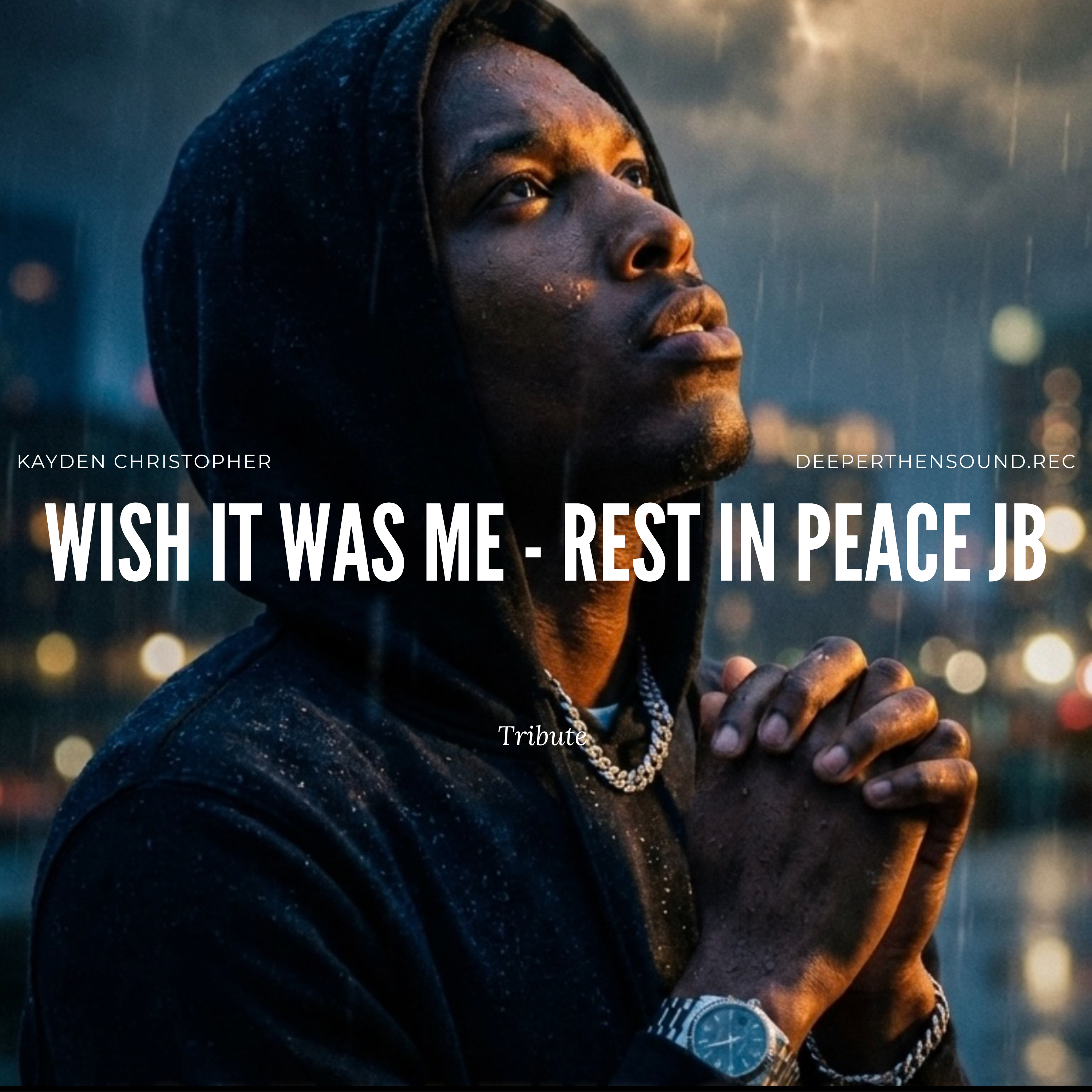 Wish It  Was Me - LLJB tribute artwork