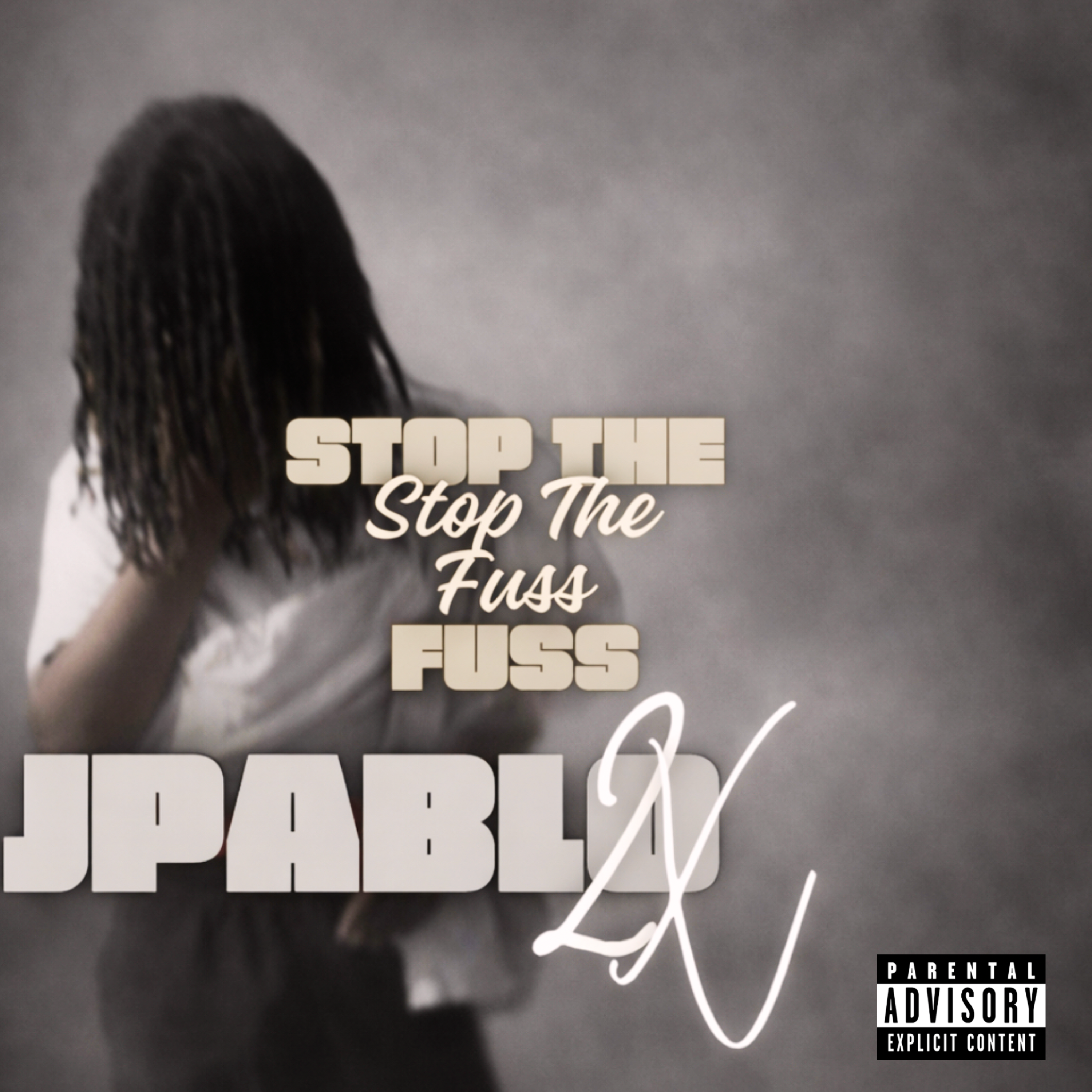 Stop The Fuss artwork