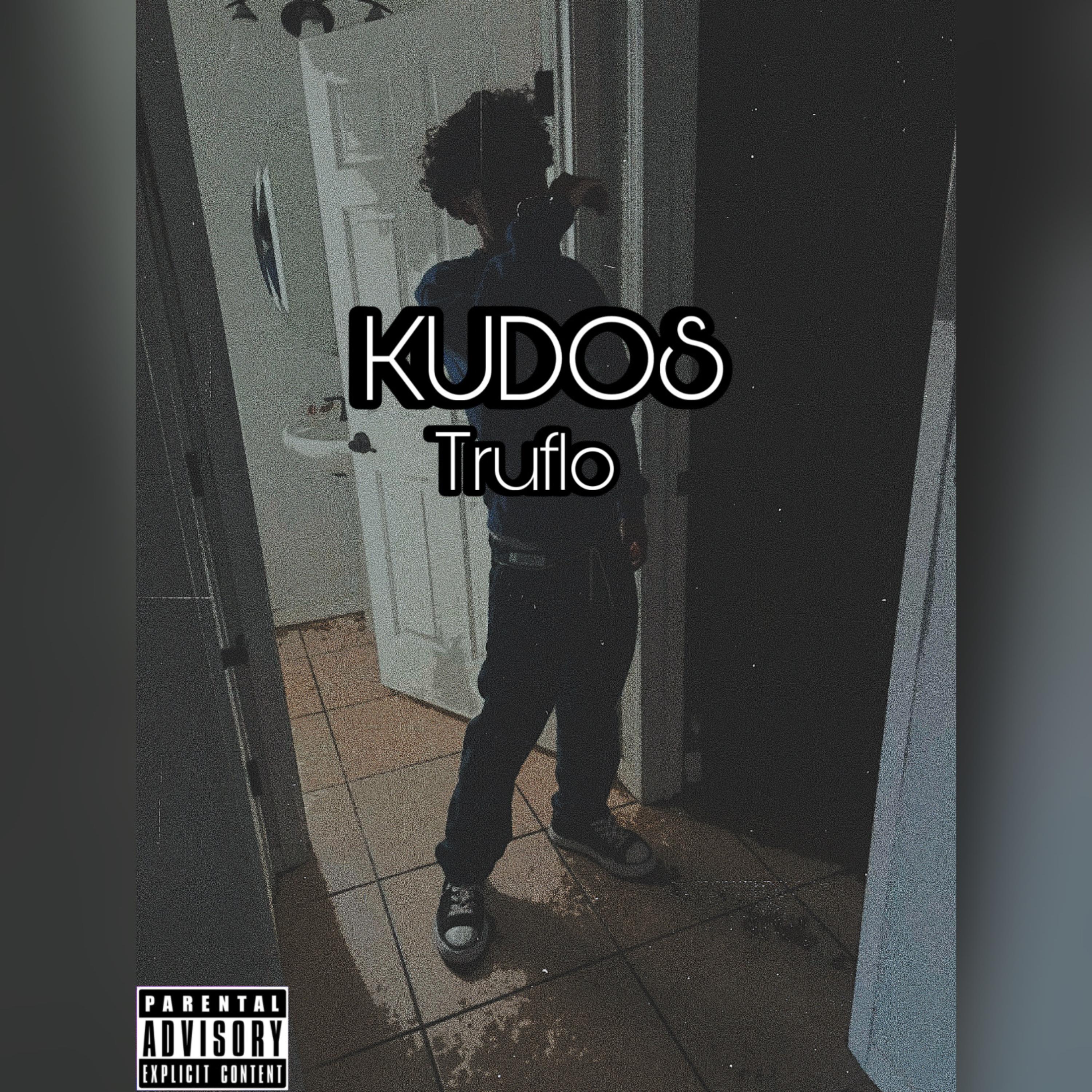 Kudos artwork